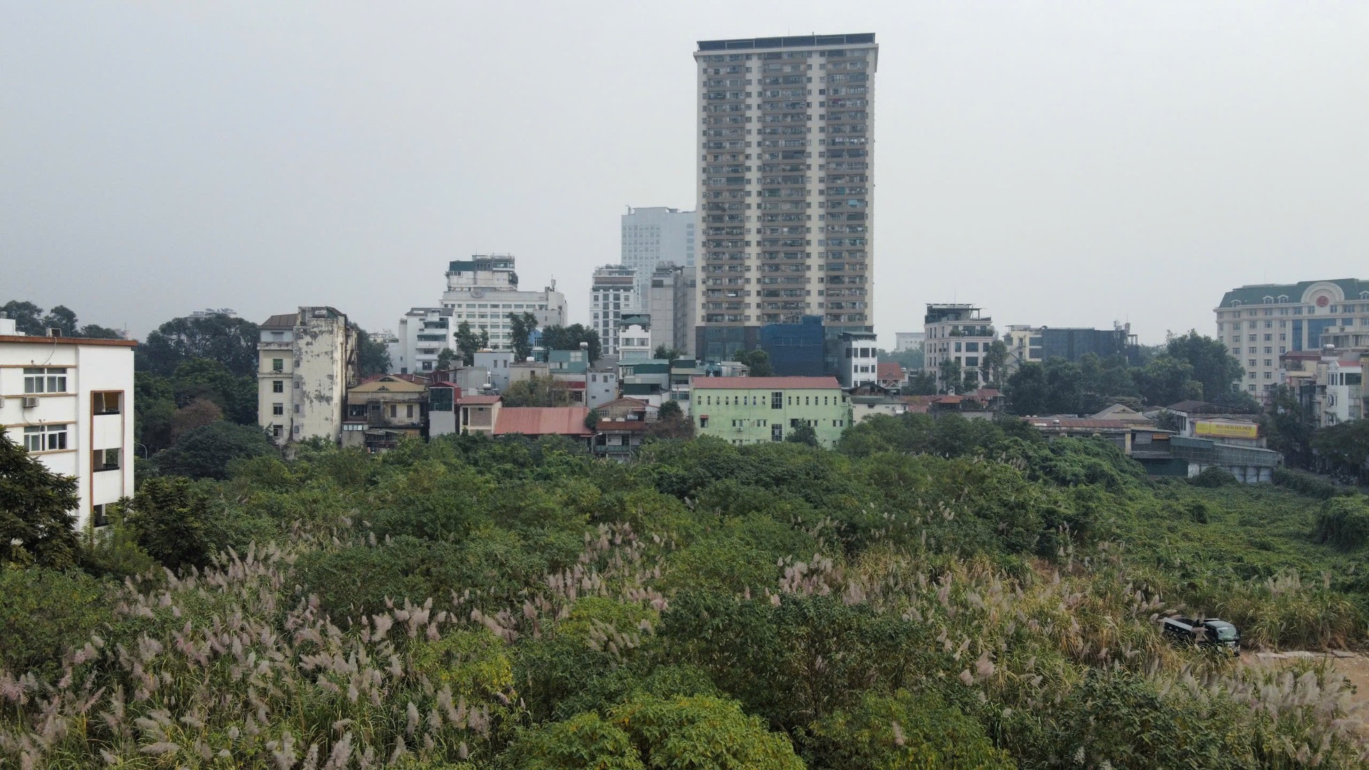 Cỏ dại mọc um tùm như 'rừng' trong khu đất vàng mà Hà Nội loại bỏ làm nhà ở ảnh 2