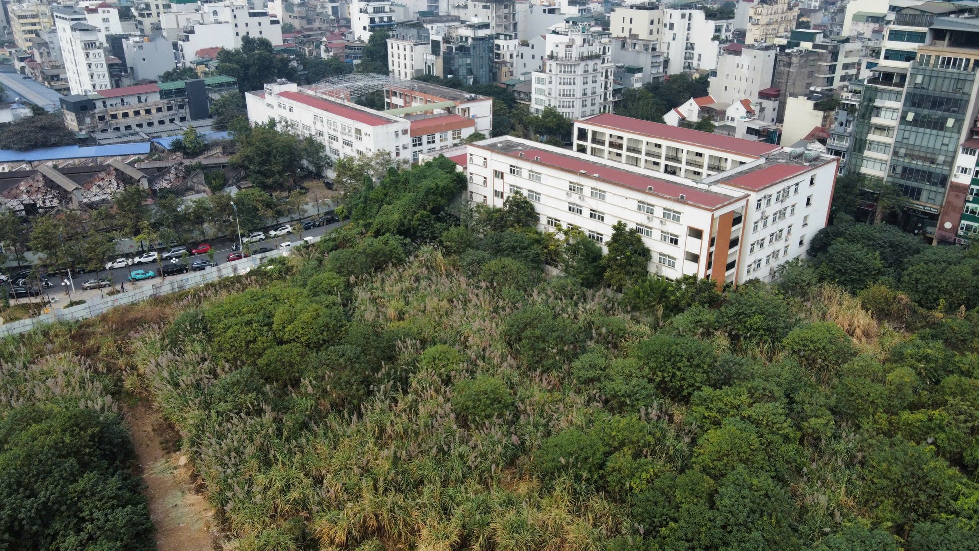 Cỏ dại mọc um tùm như 'rừng' trong khu đất vàng mà Hà Nội loại bỏ làm nhà ở ảnh 11