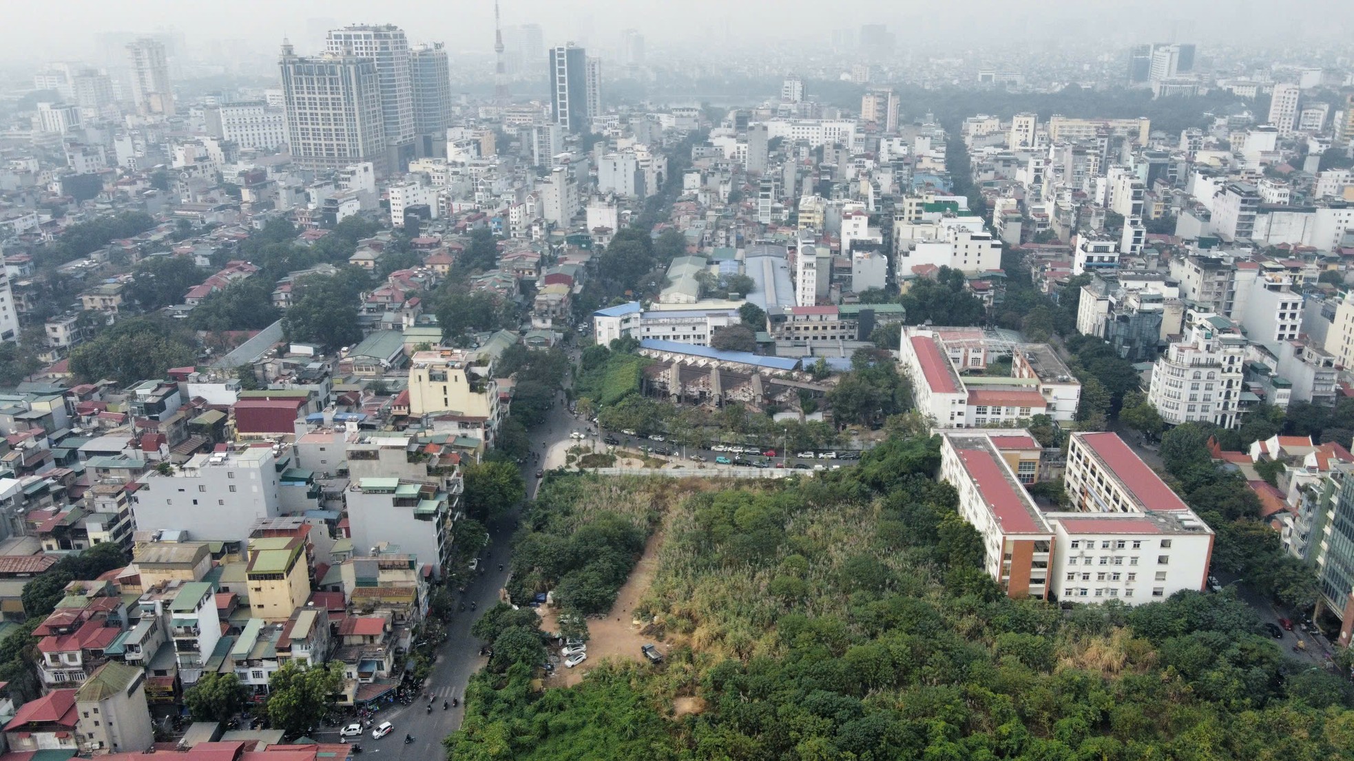 Cỏ dại mọc um tùm như 'rừng' trong khu đất vàng mà Hà Nội loại bỏ làm nhà ở ảnh 4