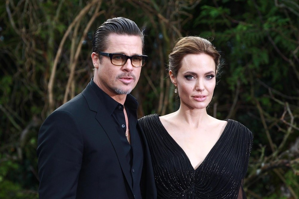 Brad Pitt sau khi bị các con ruồng bỏ ảnh 5