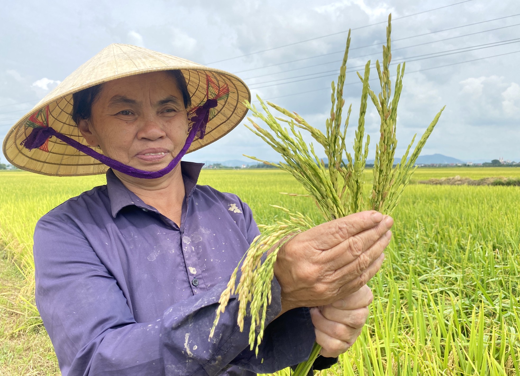 Nông dân 'đứng ngồi không yên' vì nguy cơ mất trắng hơn 150ha lúa ảnh 5