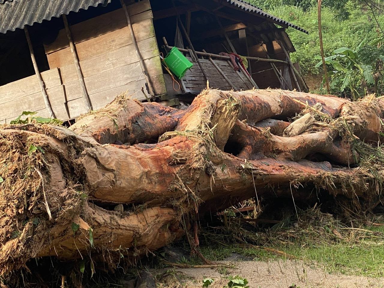 Cảnh tan hoang sau cơn lũ quét qua bản làng biên giới ở Nghệ An ảnh 14