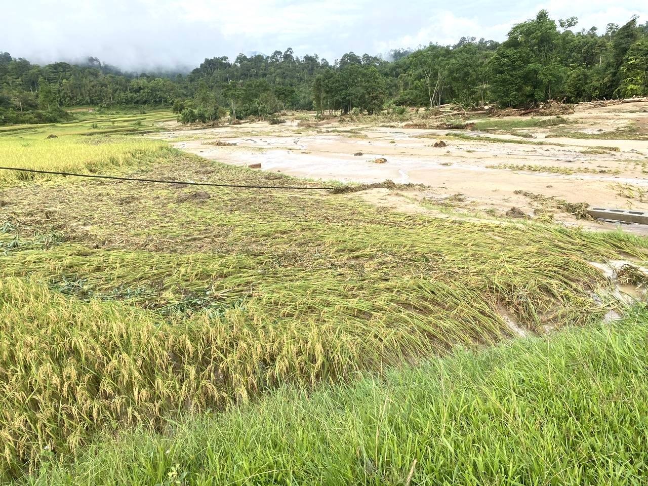 Cảnh tan hoang sau cơn lũ quét qua bản làng biên giới ở Nghệ An ảnh 6