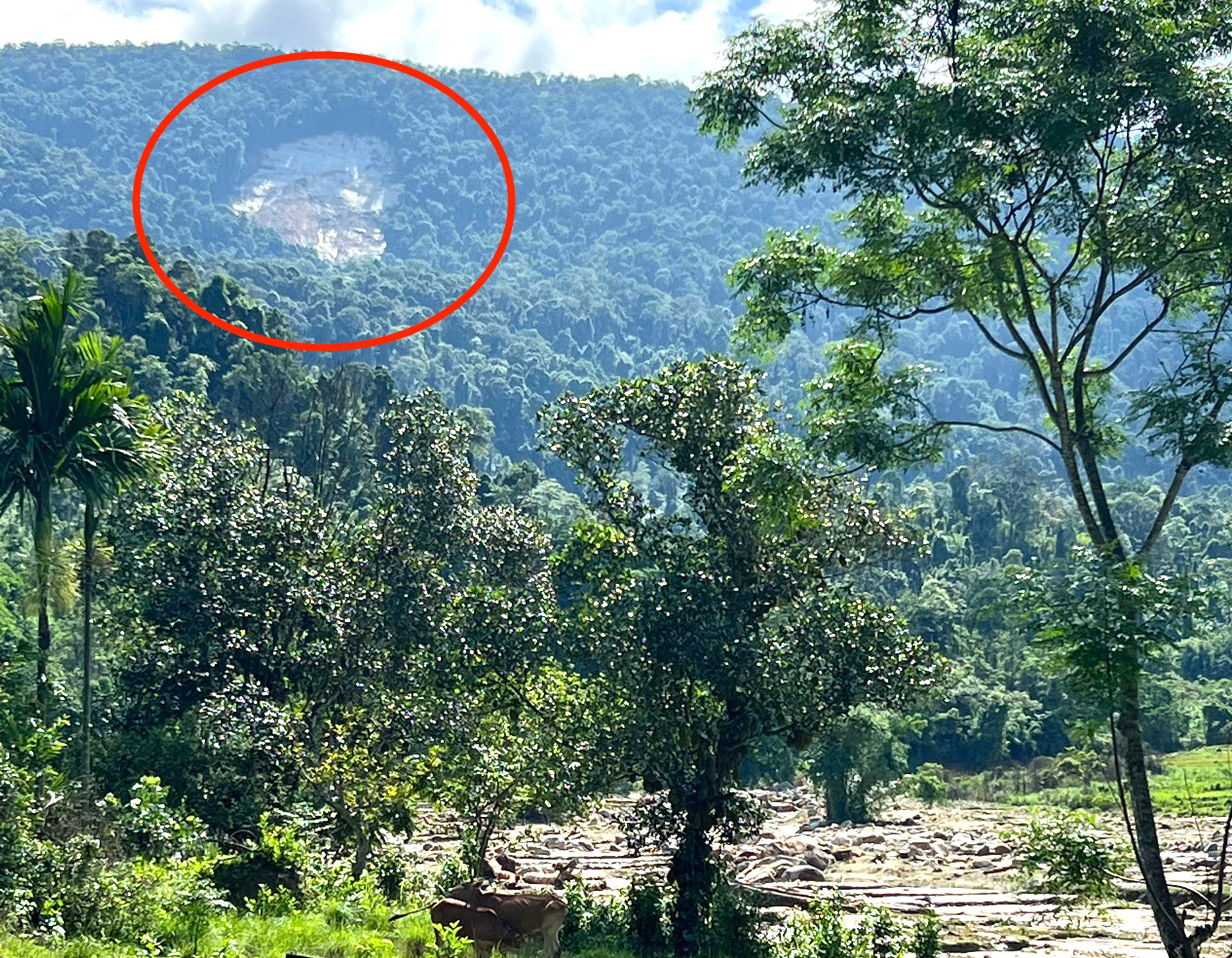 Cảnh tan hoang sau cơn lũ quét qua bản làng biên giới ở Nghệ An ảnh 16