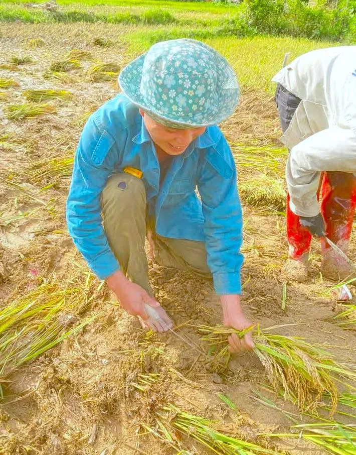 Bộ đội Biên phòng cùng người dân thu hoạch lúa sau lũ quét ảnh 4