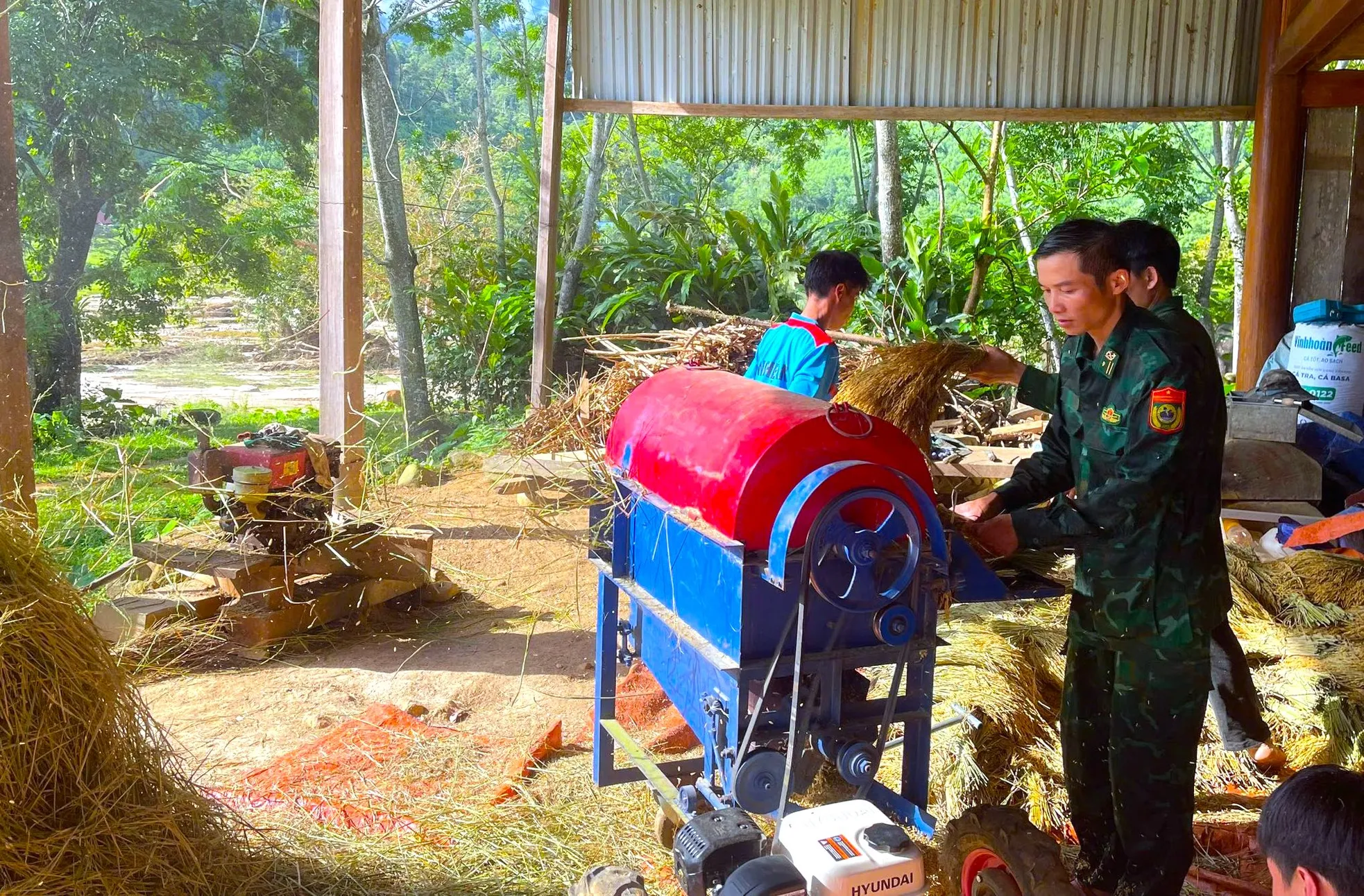 Bộ đội Biên phòng cùng người dân thu hoạch lúa sau lũ quét ảnh 14