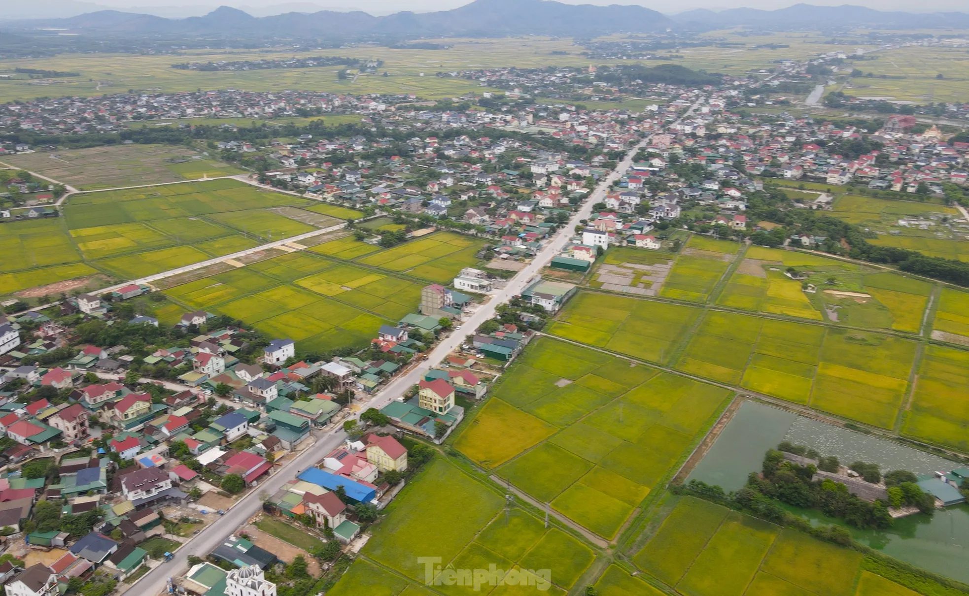 Nguyên nhân khiến dự án nghìn tỷ đồng đứt đoạn thi công ảnh 1