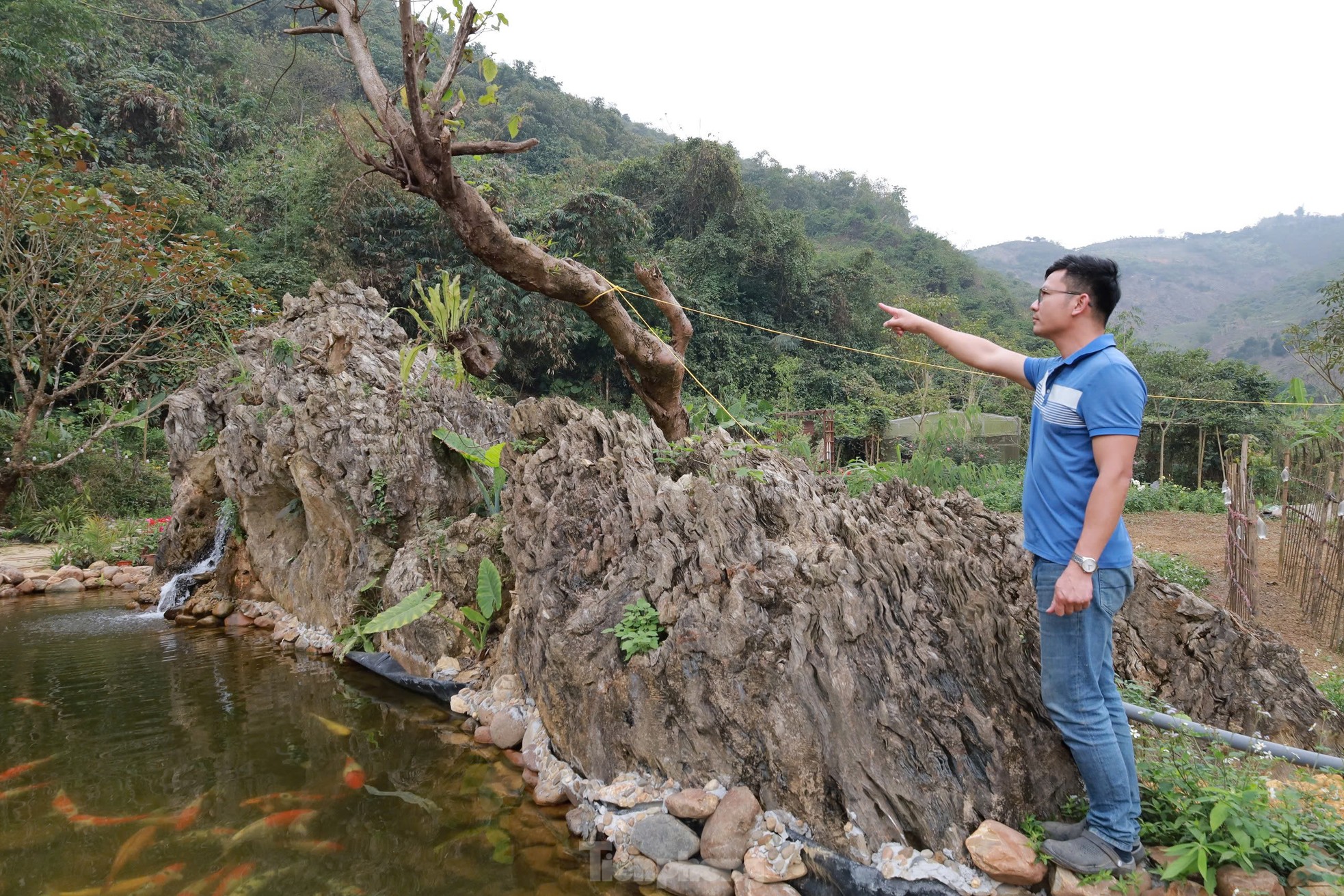 Chiêm ngưỡng khối đá giống gốc cây khổng lồ hóa thạch, được trả giá đến 18 tỷ đồng ảnh 2