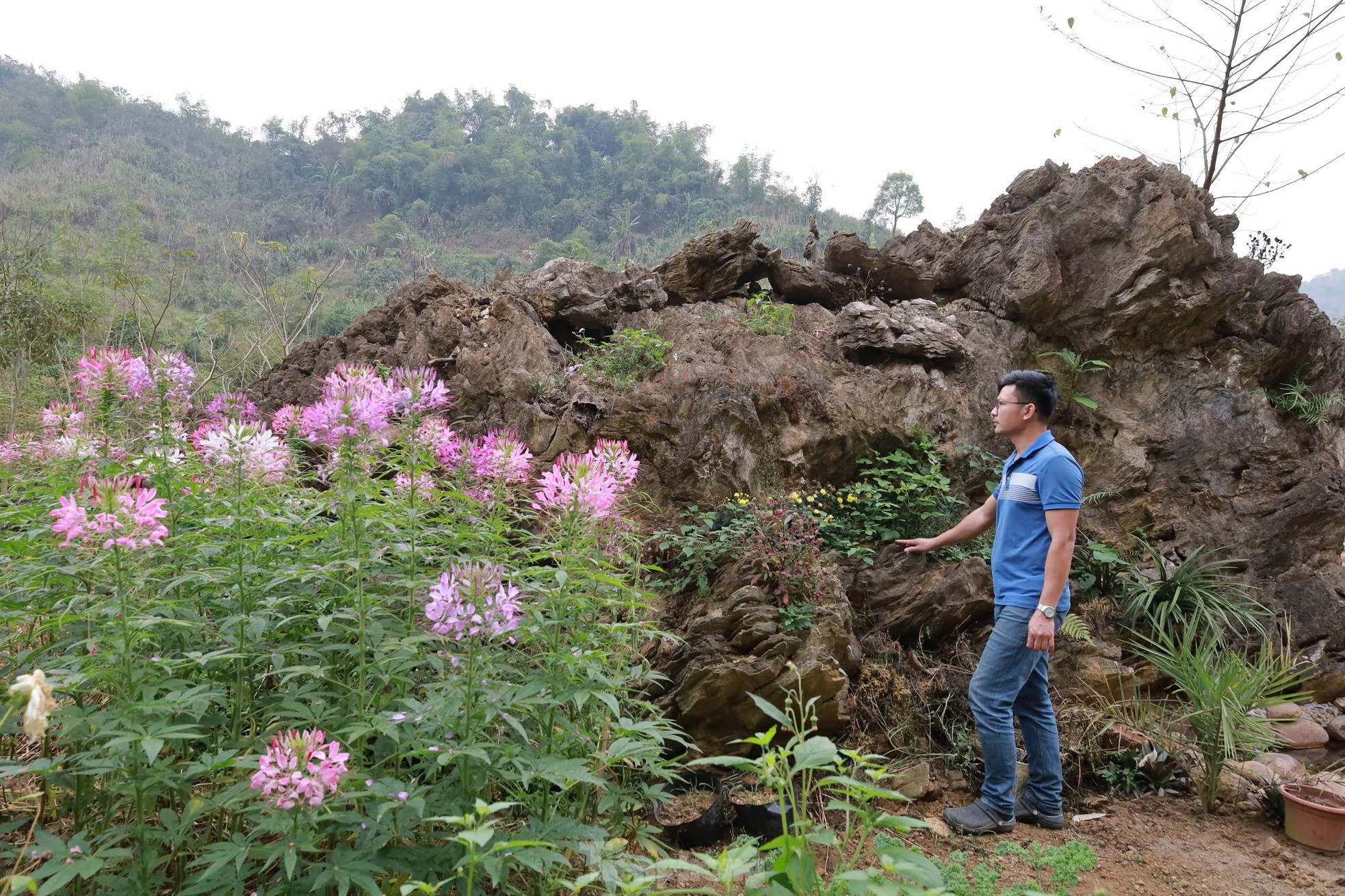 Chiêm ngưỡng khối đá giống gốc cây khổng lồ hóa thạch, được trả giá đến 18 tỷ đồng ảnh 3