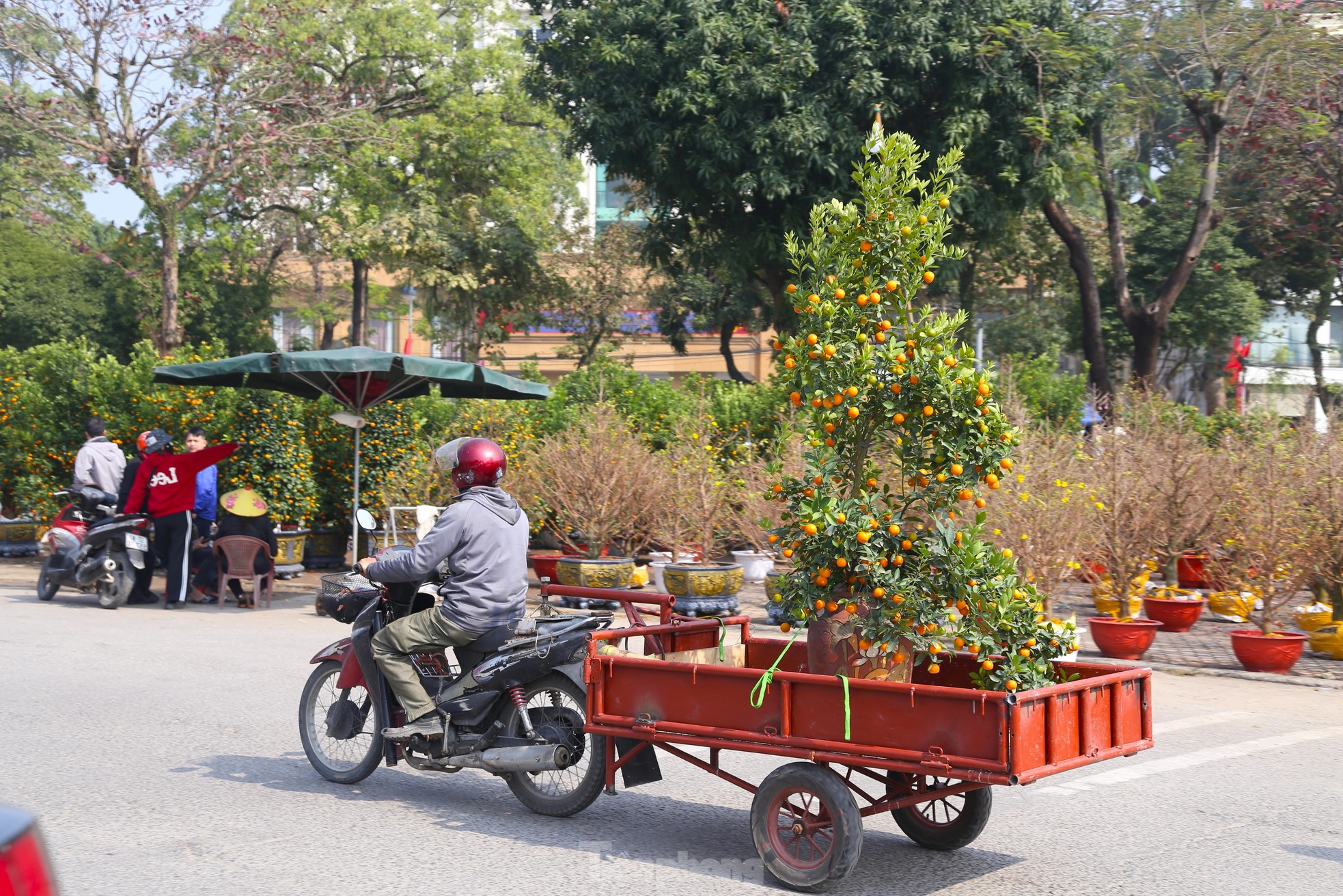 Thu nhập của 'người chở mùa xuân' giảm mạnh vụ Tết ảnh 6