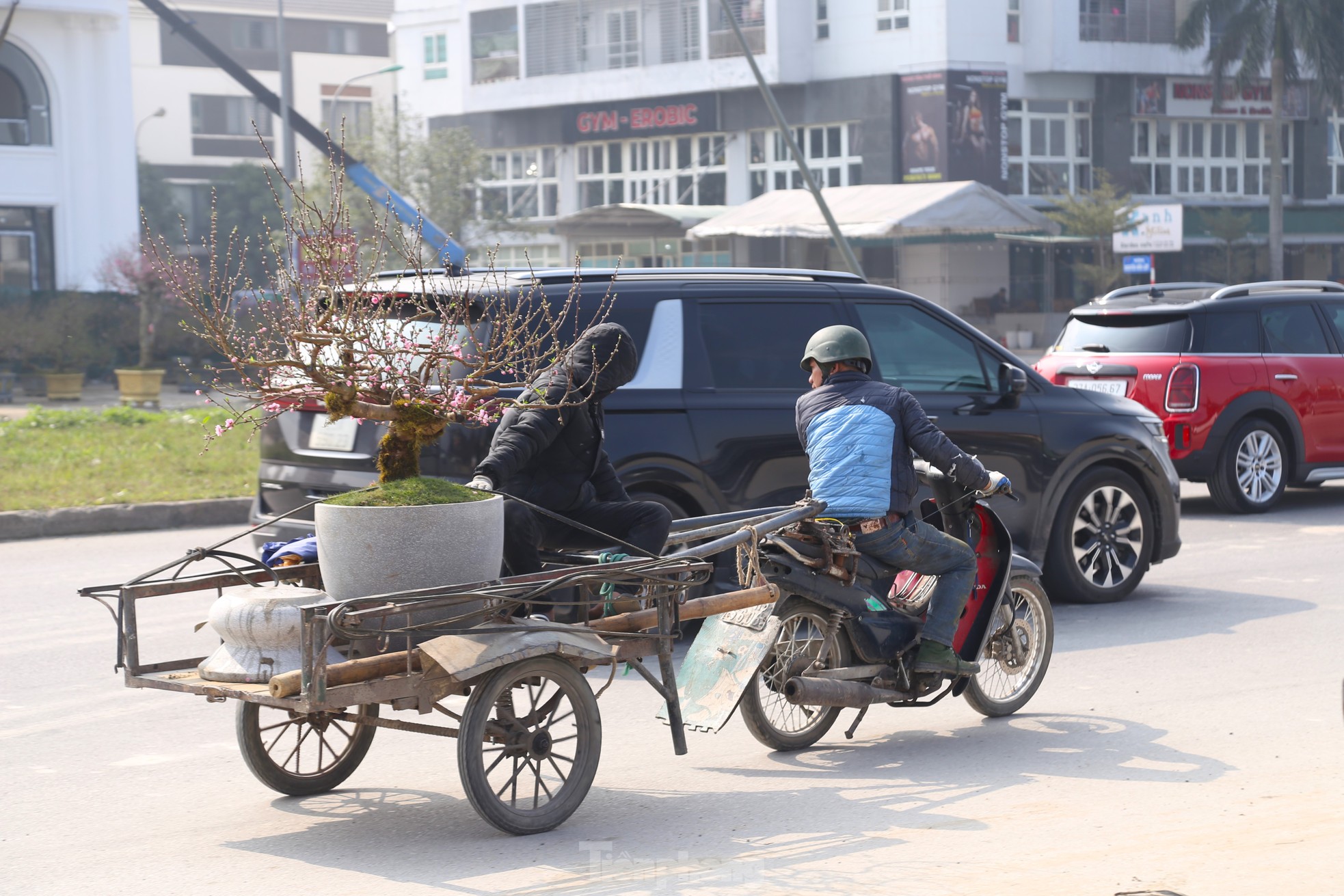 Thu nhập của 'người chở mùa xuân' giảm mạnh vụ Tết ảnh 12