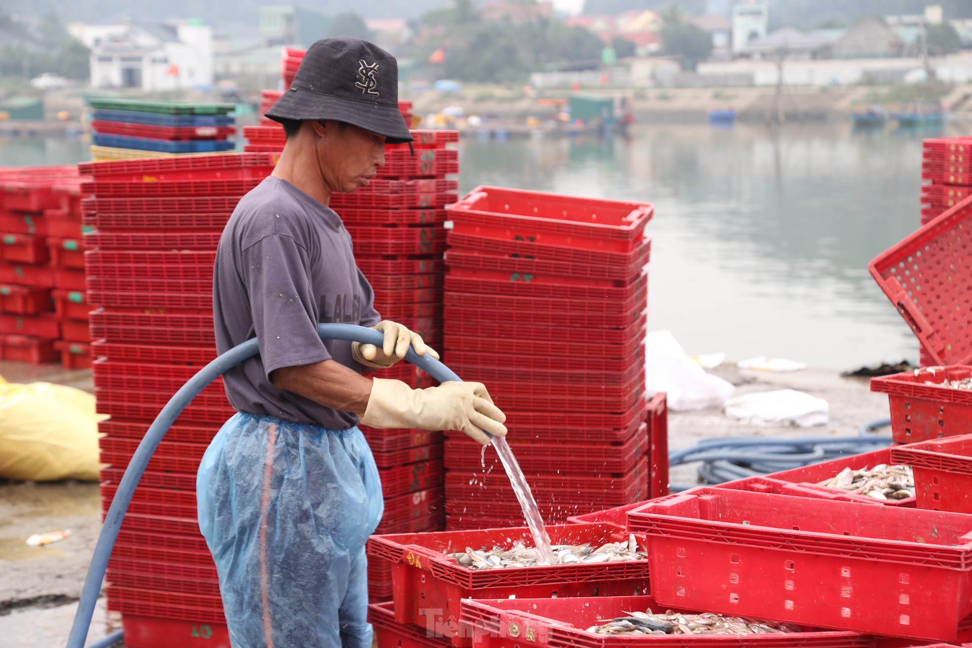Miệt mài trên phố mưu sinh trong ngày quốc tế lao động 1/5 ảnh 11