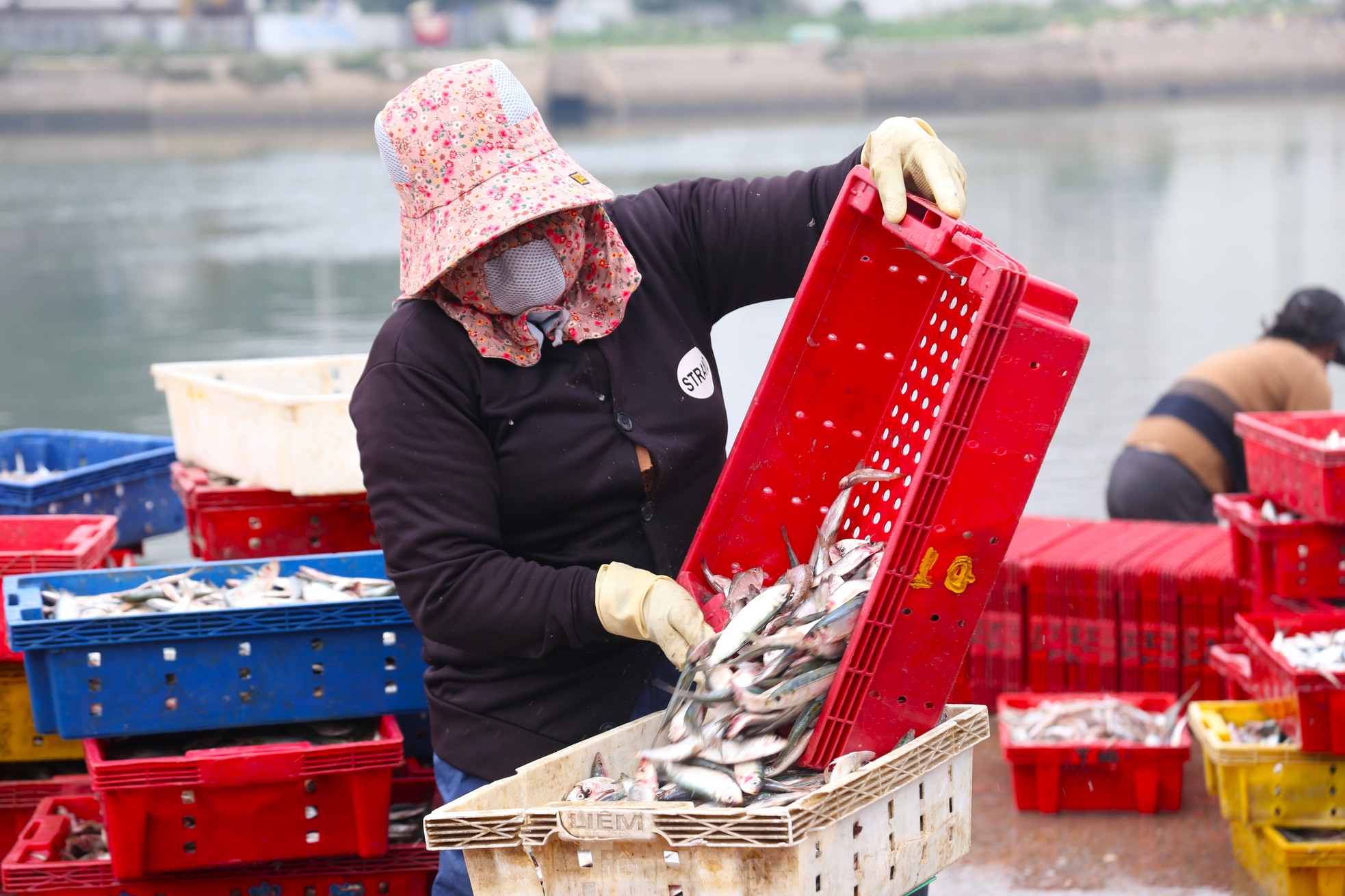 Miệt mài trên phố mưu sinh trong ngày quốc tế lao động 1/5 ảnh 12
