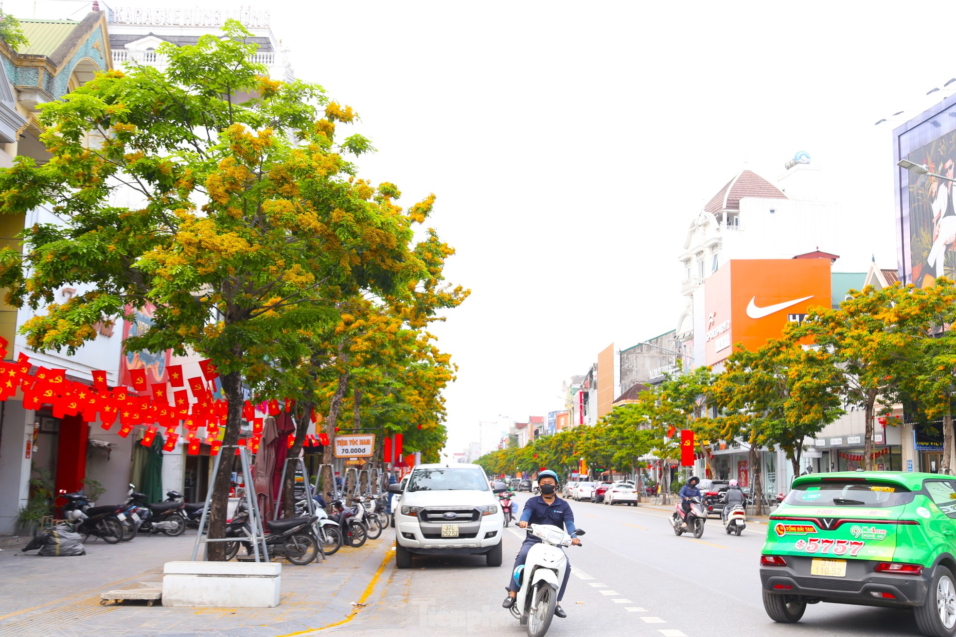 Loài hoa vàng rực, chỉ nở ít ngày gây xao xuyến ảnh 12