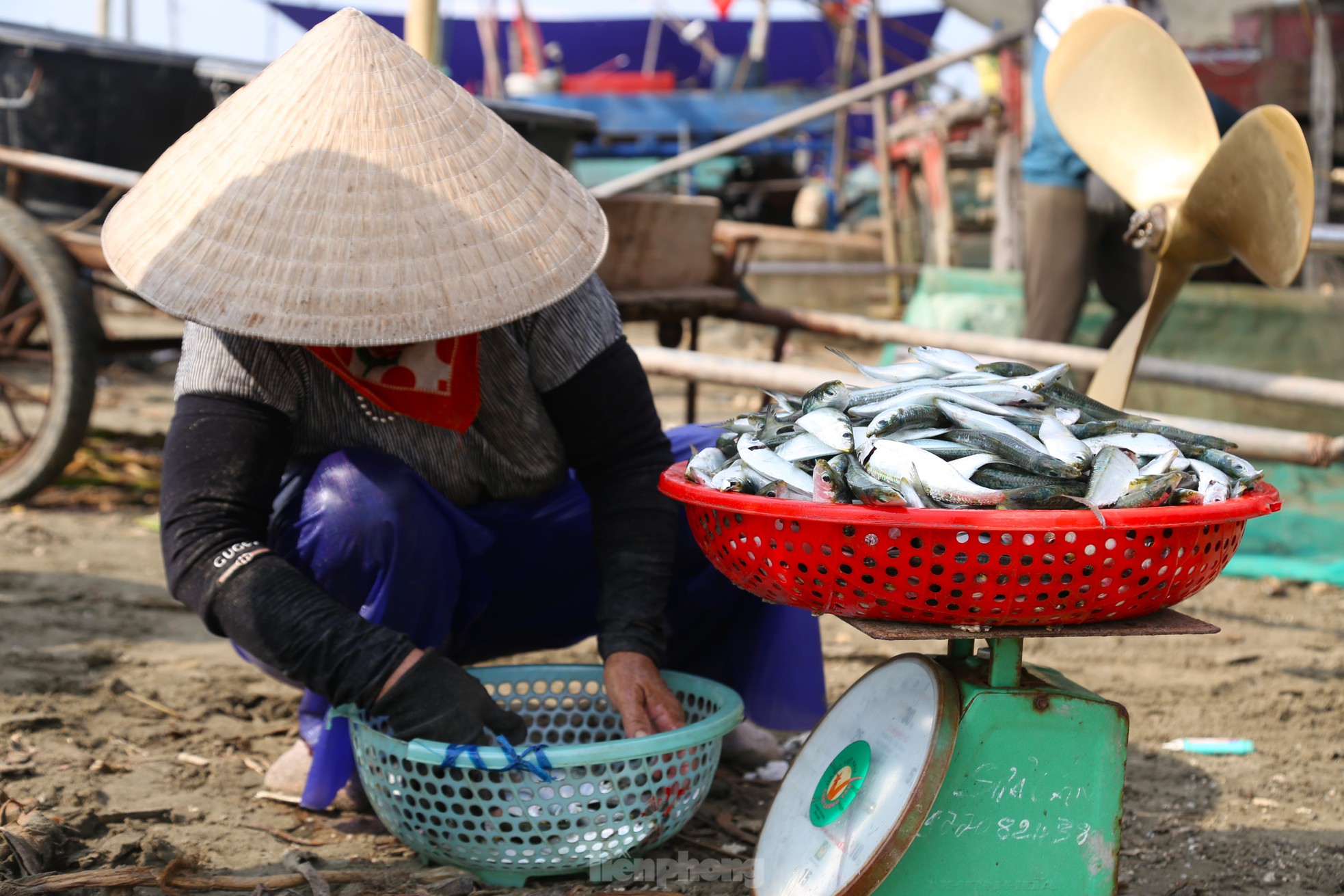 Nhóm bếp than dọc đường ven biển, nướng cá giữa trưa nắng nóng ảnh 2
