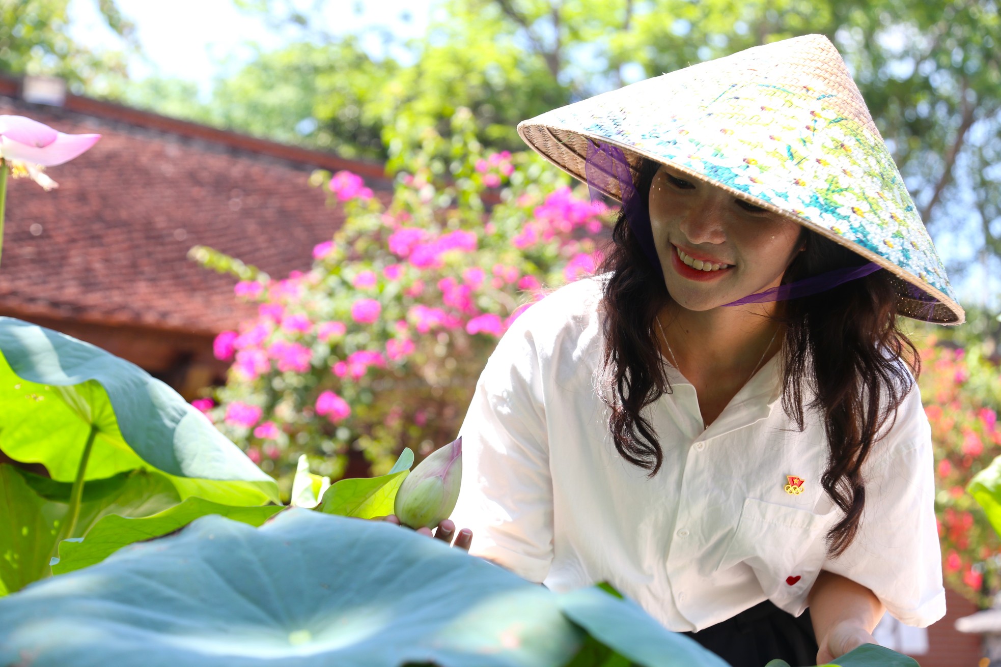 Hoa sen nở rộ dọc lối vào Khu di tích quốc gia đặc biệt Kim Liên ảnh 14