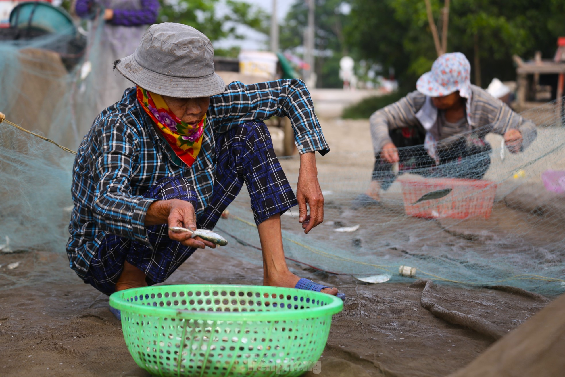 Mỏi tay gỡ cá tươi mỗi sáng, ngư dân Nghệ An thu nhập tiền triệu ảnh 6