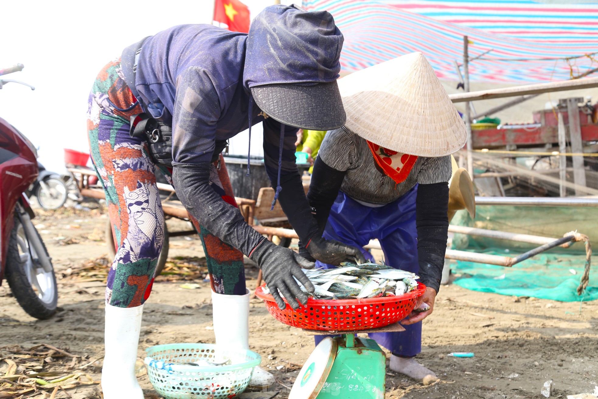 Mỏi tay gỡ cá tươi mỗi sáng, ngư dân Nghệ An thu nhập tiền triệu ảnh 11