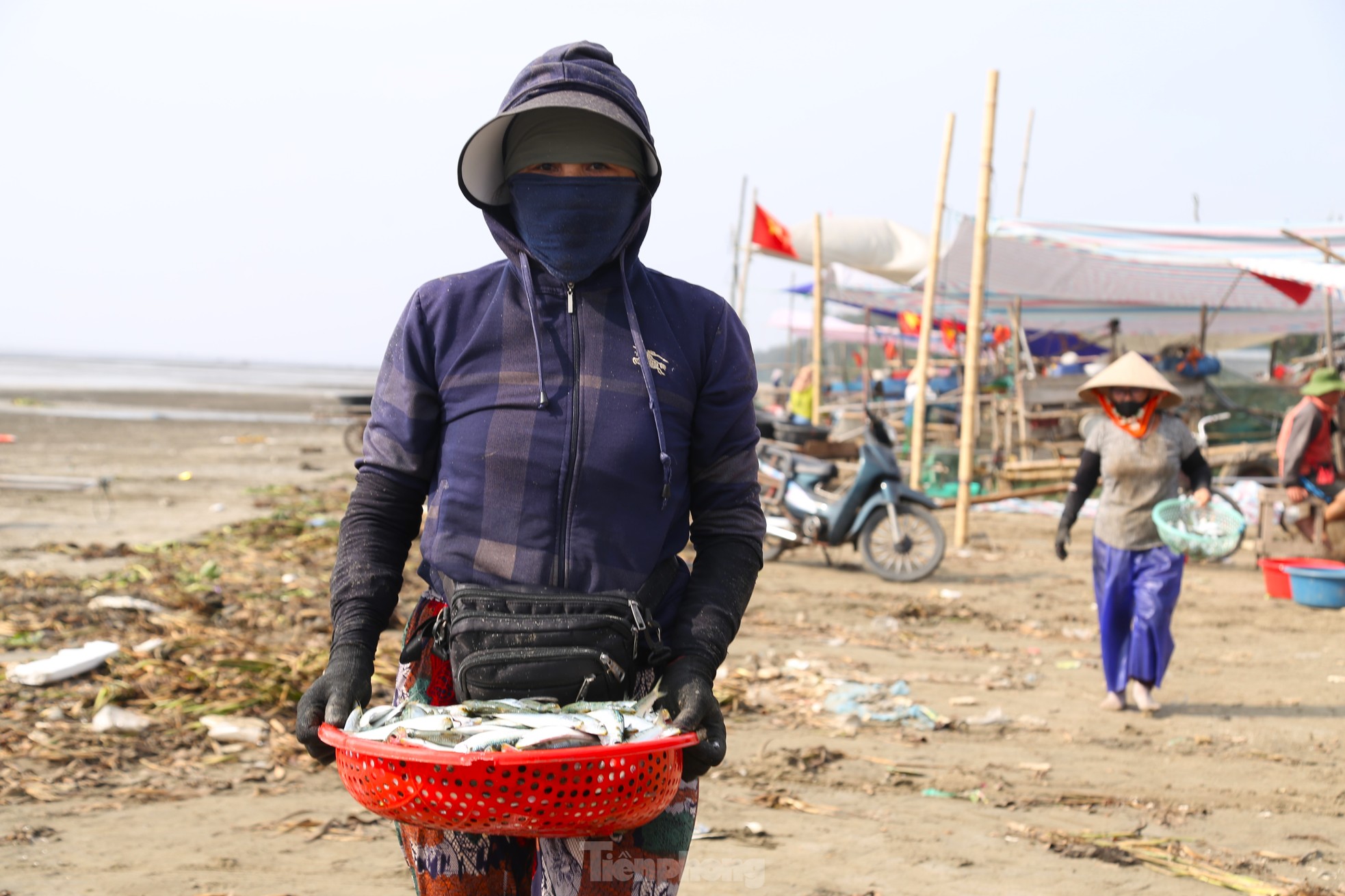 Mỏi tay gỡ cá tươi mỗi sáng, ngư dân Nghệ An thu nhập tiền triệu ảnh 10