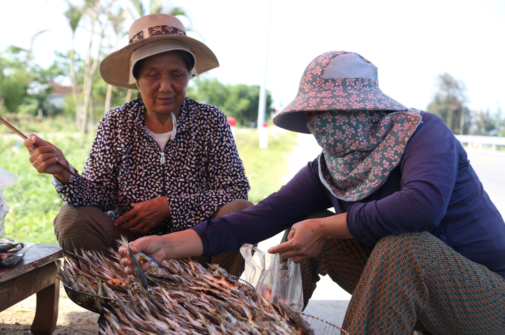 Mỏi tay gỡ cá tươi mỗi sáng, ngư dân Nghệ An thu nhập tiền triệu ảnh 14