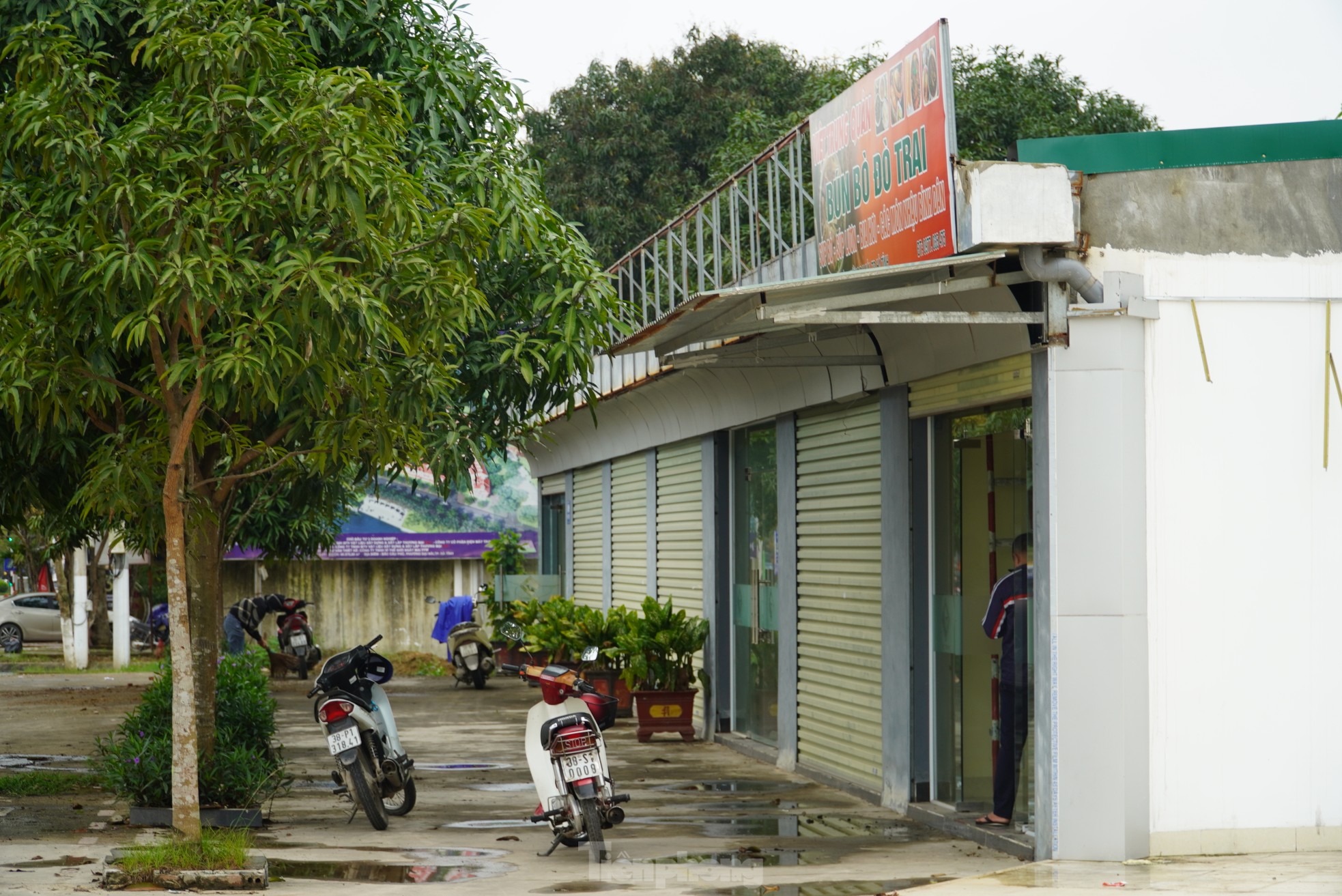 Hà Tĩnh: Đại dự án hơn 1.200 tỷ bất động, cỏ mọc um tùm trên 'đất vàng' ảnh 5
