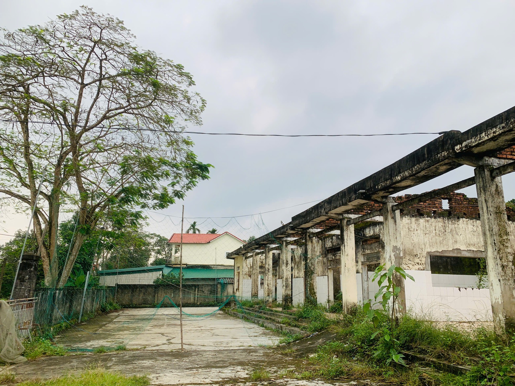 Hà Tĩnh: Cơ sở y tế bị bỏ hoang gần 10 năm, cỏ mọc um tùm ảnh 1
