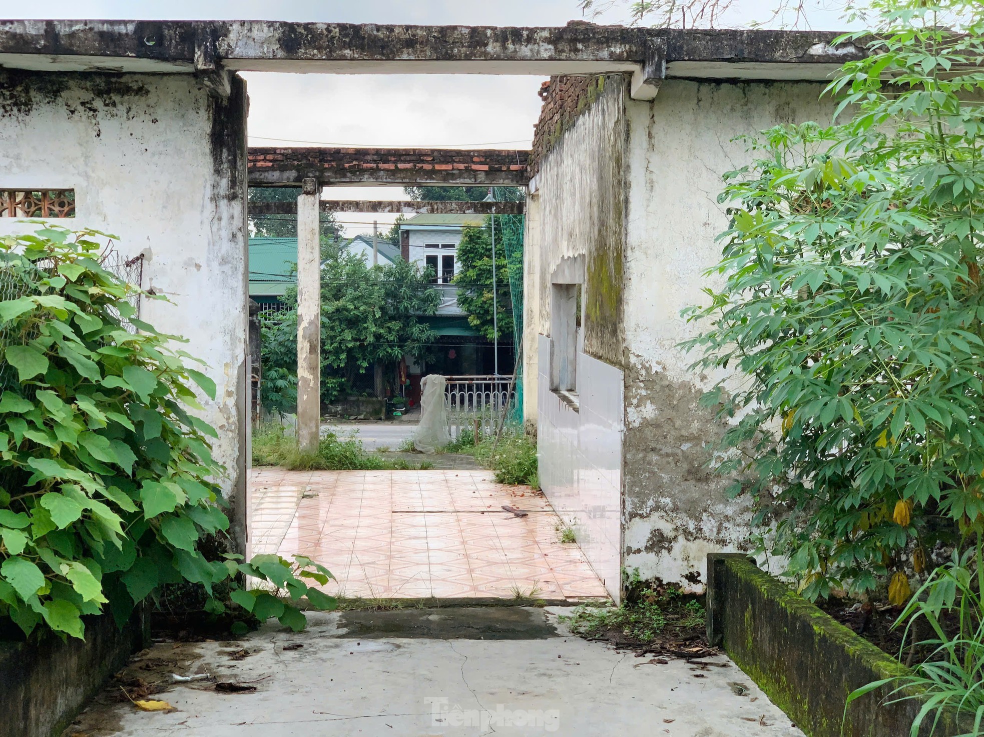 Hà Tĩnh: Cơ sở y tế bị bỏ hoang gần 10 năm, cỏ mọc um tùm ảnh 13