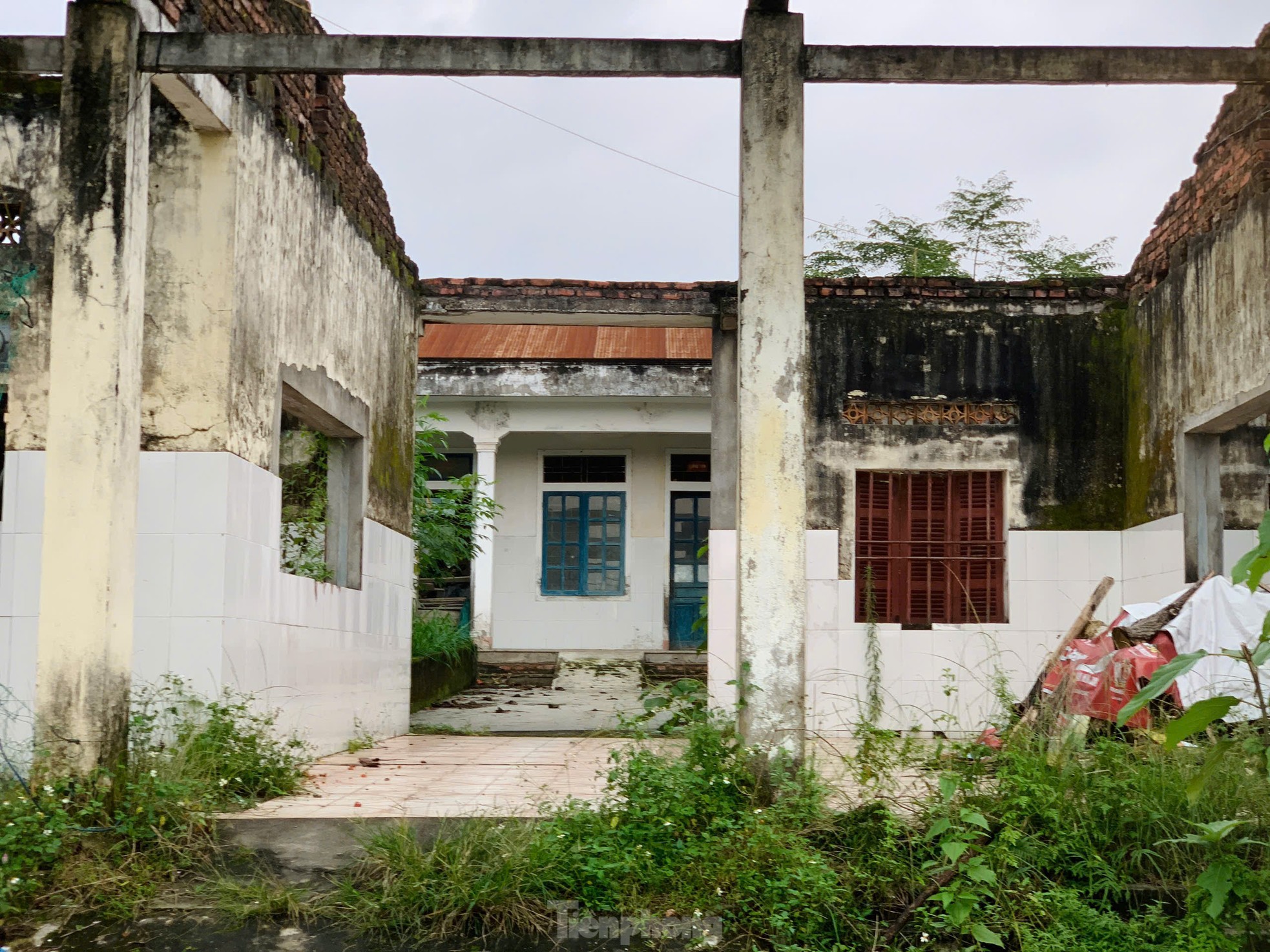 Hà Tĩnh: Cơ sở y tế bị bỏ hoang gần 10 năm, cỏ mọc um tùm ảnh 2