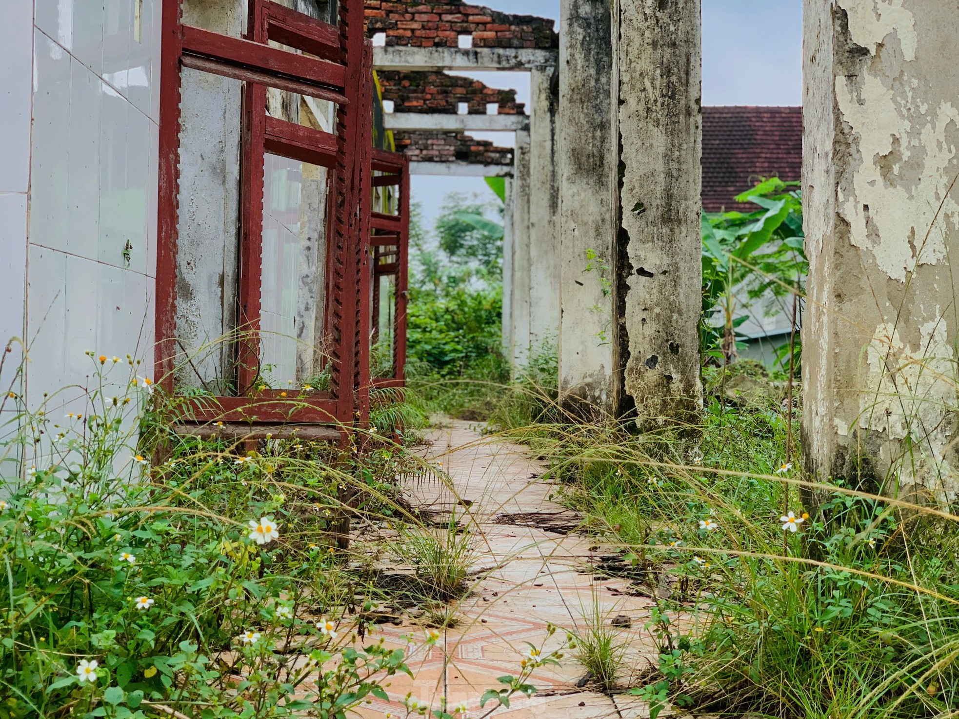 Hà Tĩnh: Cơ sở y tế bị bỏ hoang gần 10 năm, cỏ mọc um tùm ảnh 11