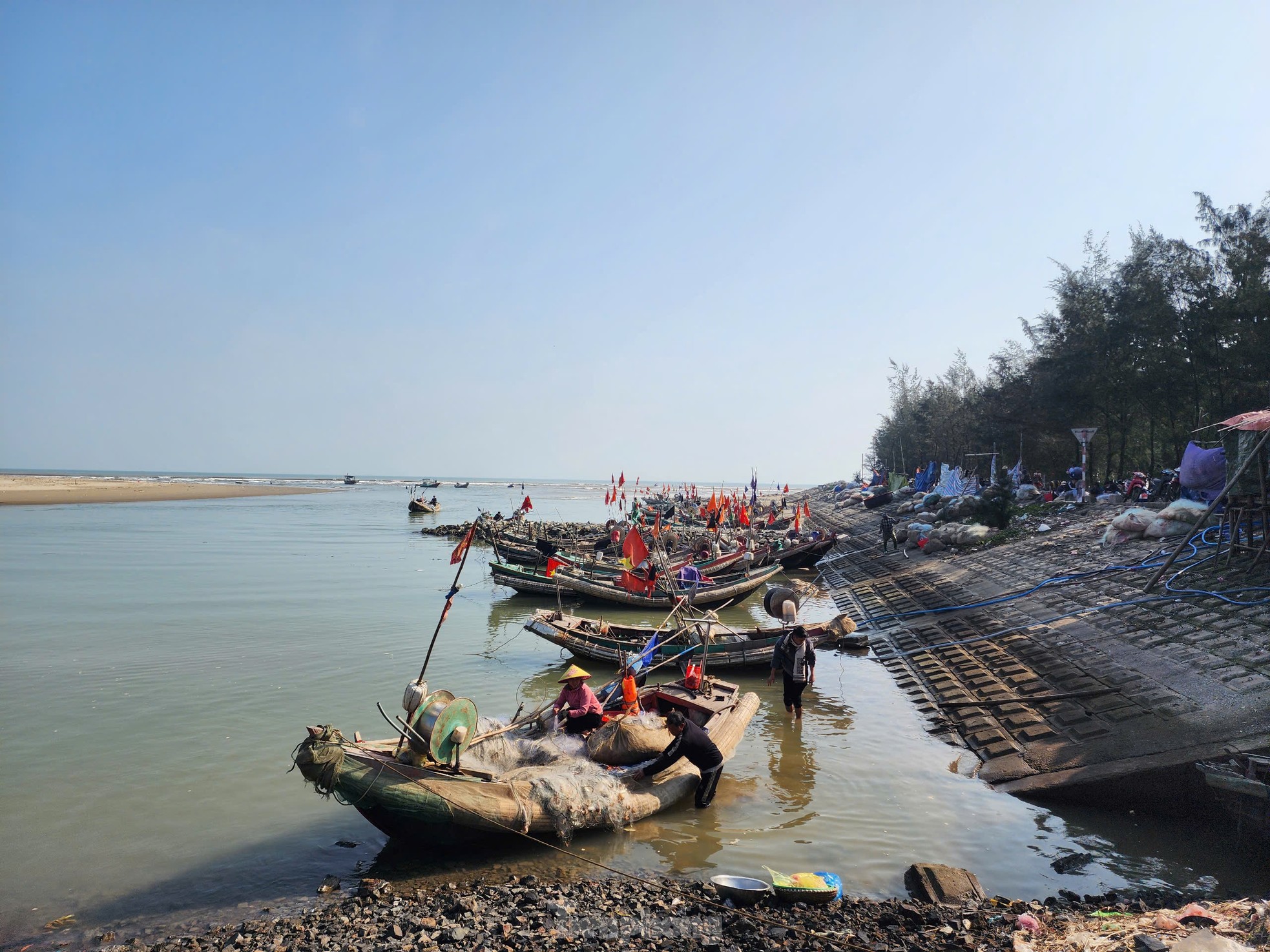 Vươn khơi đầu năm, ngư dân phấn khởi đón ‘lộc trời’ ảnh 11