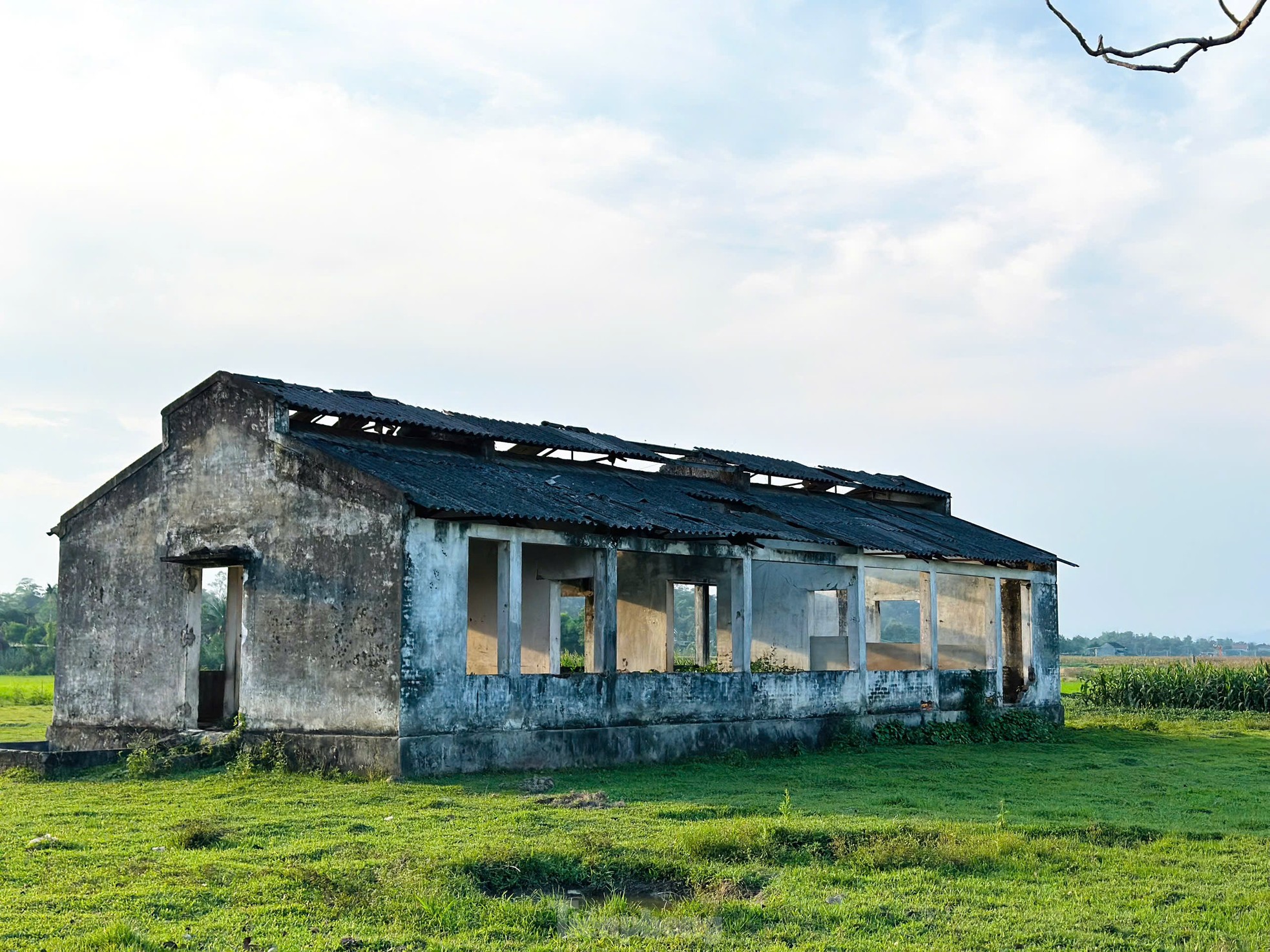 Hoang tàn trạm truyền giống chăn nuôi ở Hà Tĩnh ảnh 3