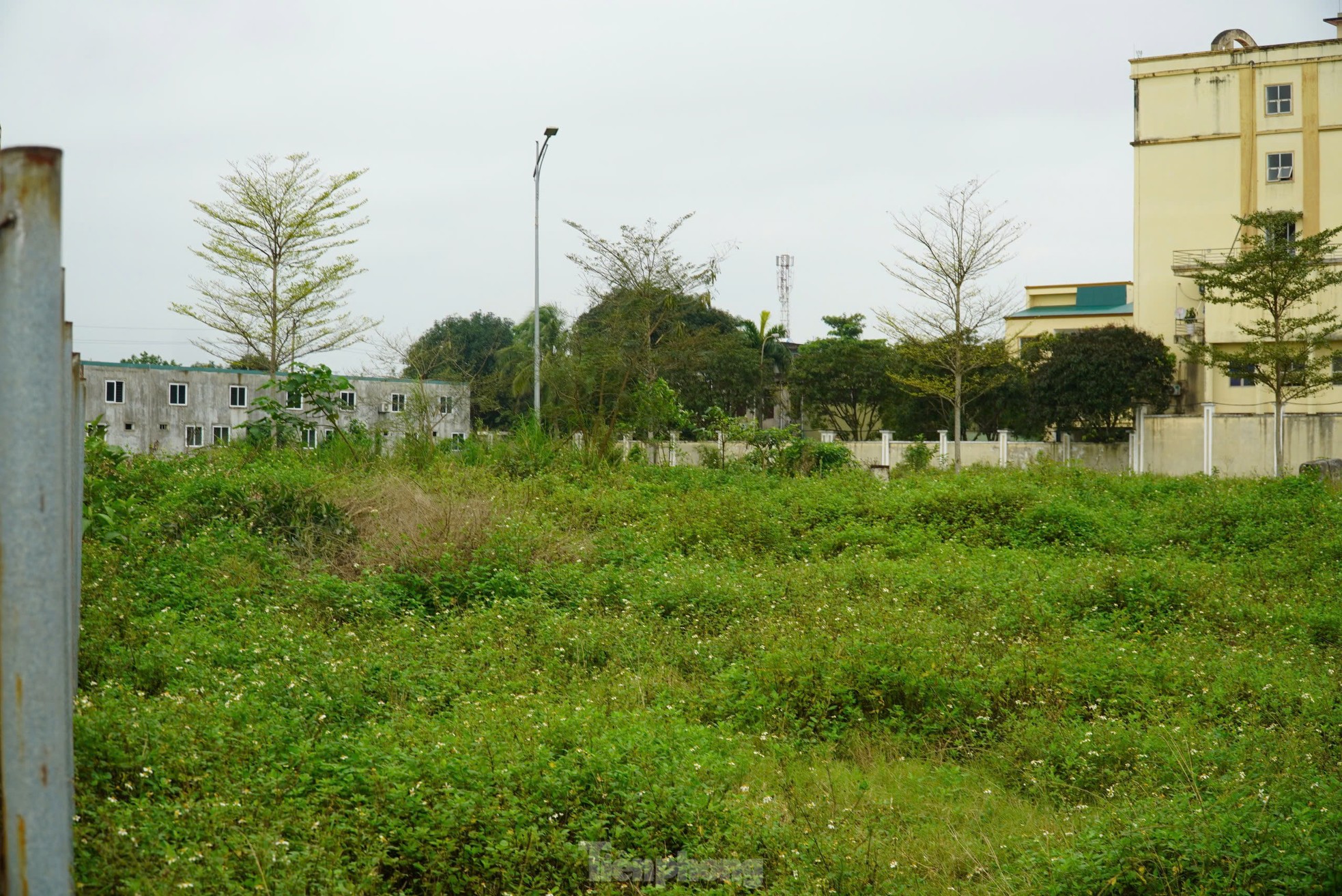 Loạt dự án trên ‘đất vàng’ dở dang, hoang tàn ở trung tâm TP Hà Tĩnh ảnh 7