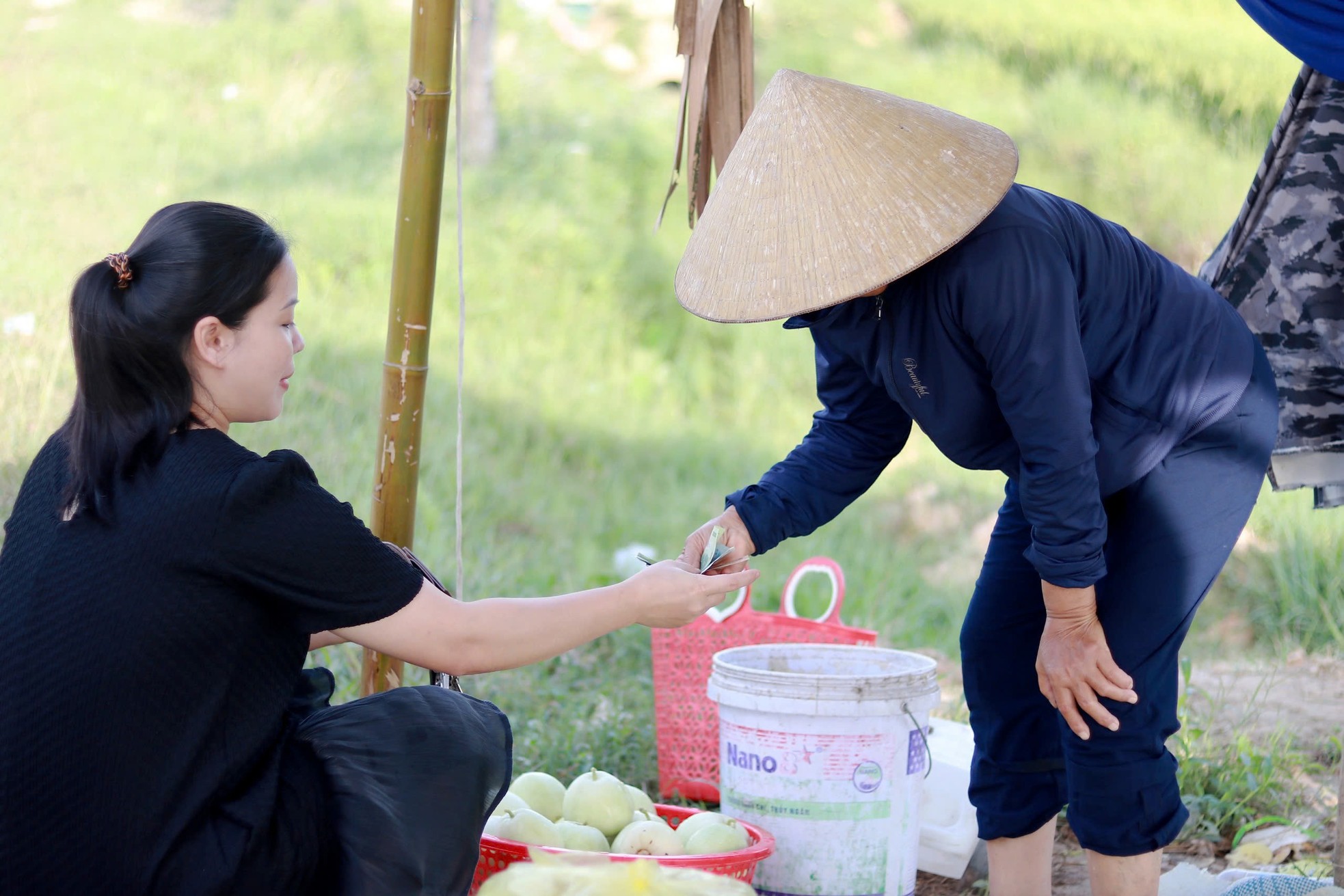Vào mùa thu hoạch dưa, nông dân kiếm hàng chục triệu đồng mỗi vụ ảnh 9