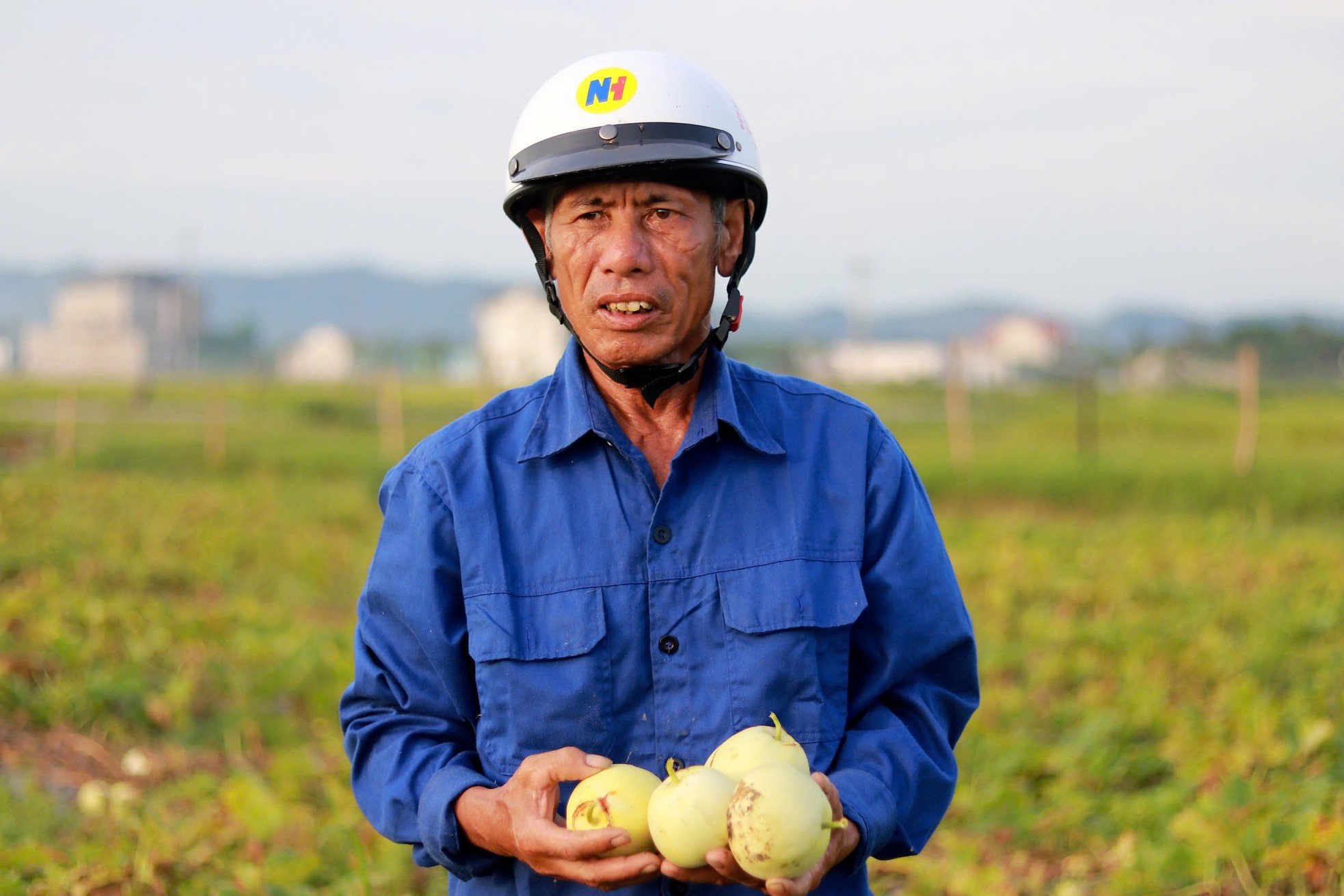 Vào mùa thu hoạch dưa, nông dân kiếm hàng chục triệu đồng mỗi vụ ảnh 4