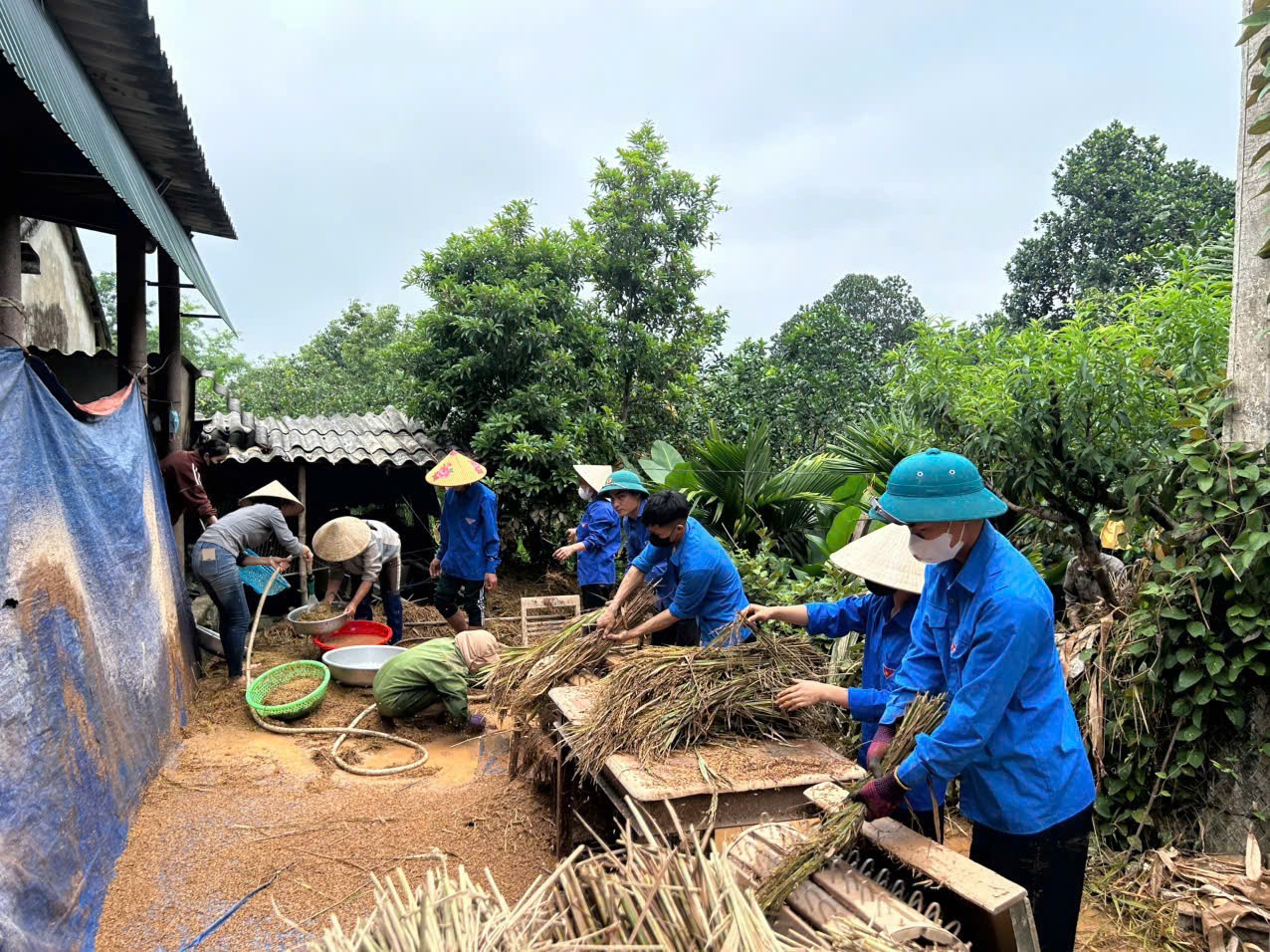 Tuổi trẻ Hà Tĩnh xuống đồng gặt lúa hỗ trợ người dân ảnh 5