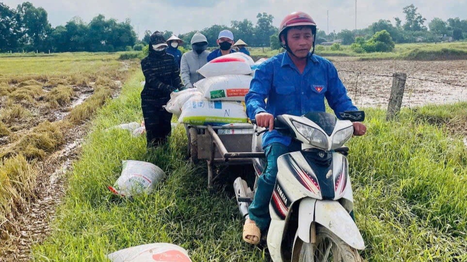 Tuổi trẻ Hà Tĩnh xuống đồng gặt lúa hỗ trợ người dân ảnh 9