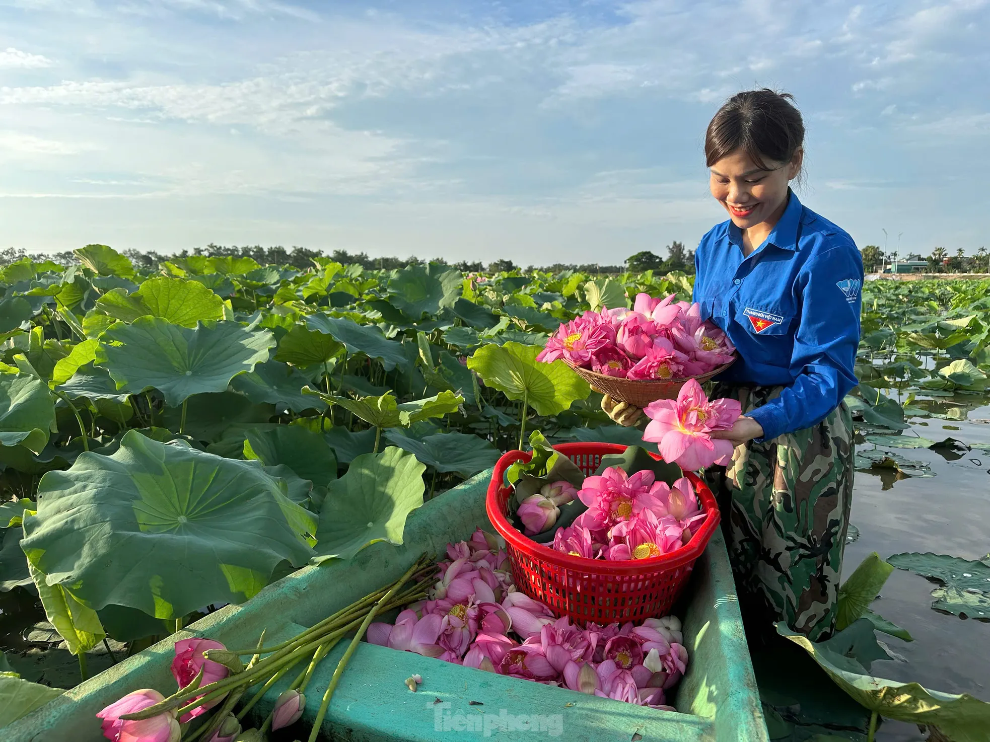 'Biến' vùng đất hoang hóa thành đầm sen thu tiền triệu mỗi ngày ảnh 10