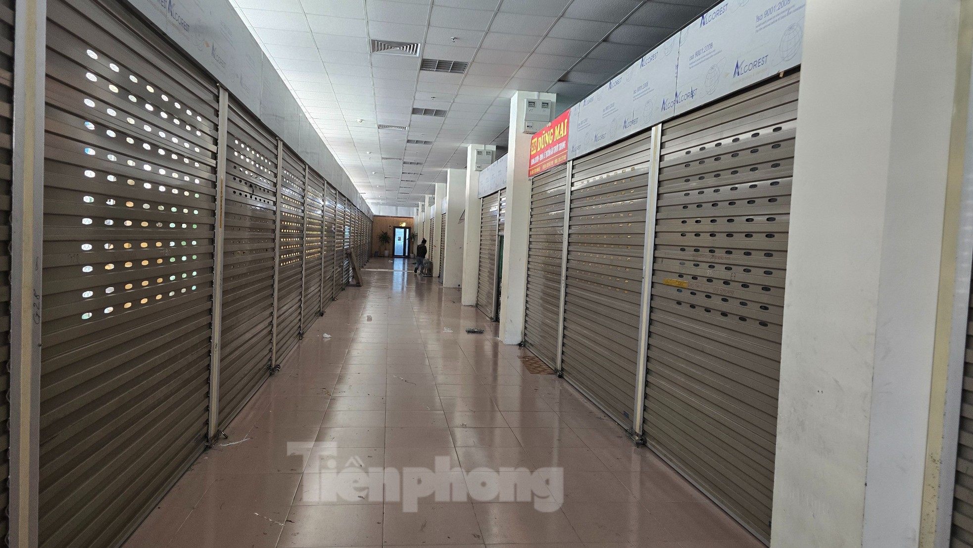 Bất ngờ lý do hơn 400 tiểu thương chợ Ninh Hiệp 'cửa đóng then cài' ảnh 11