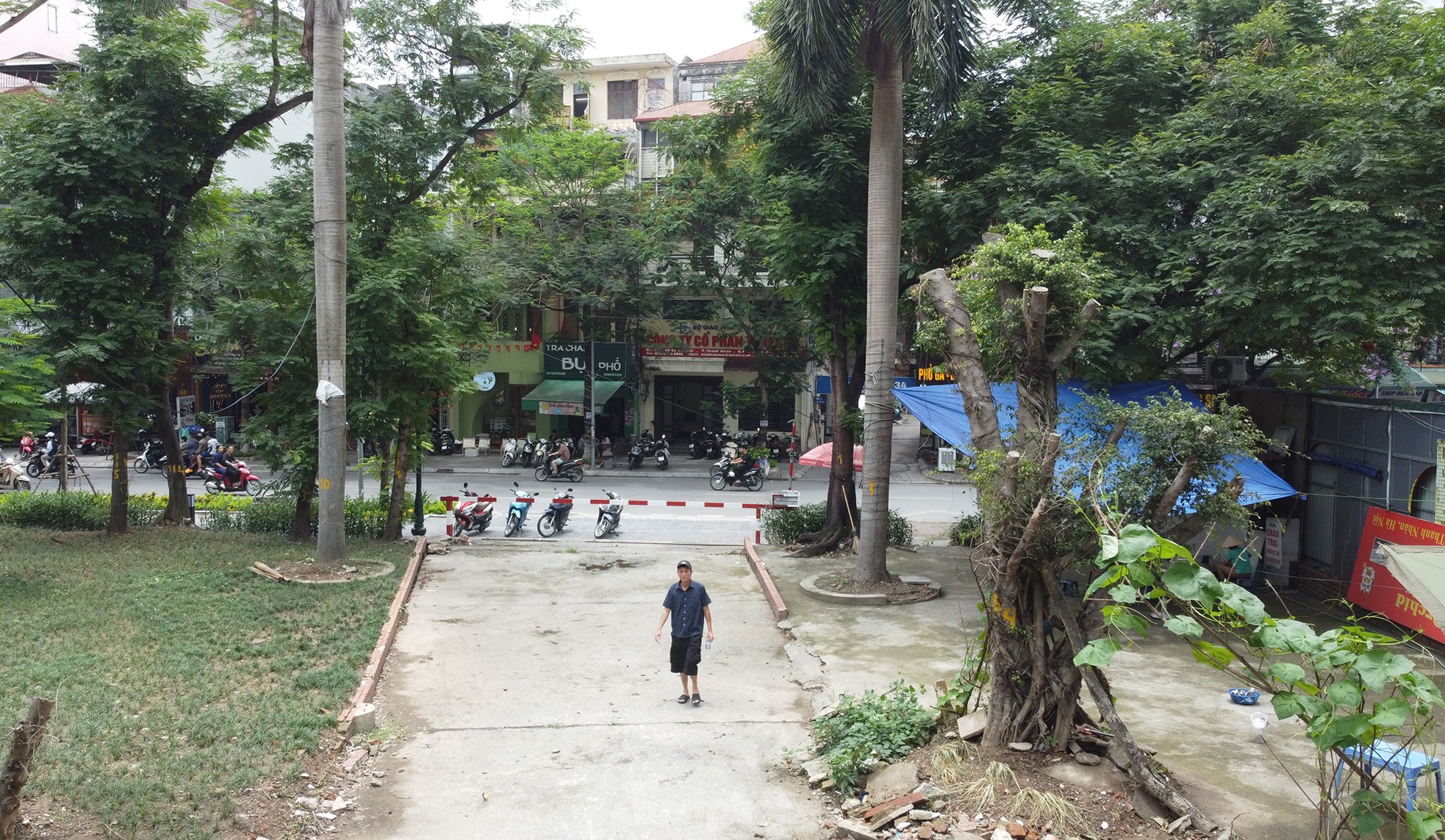 Cận cảnh 3.800m2 đất nông nghiệp sắp bị thu hồi để mở rộng công viên Tuổi trẻ Thủ đô ảnh 11
