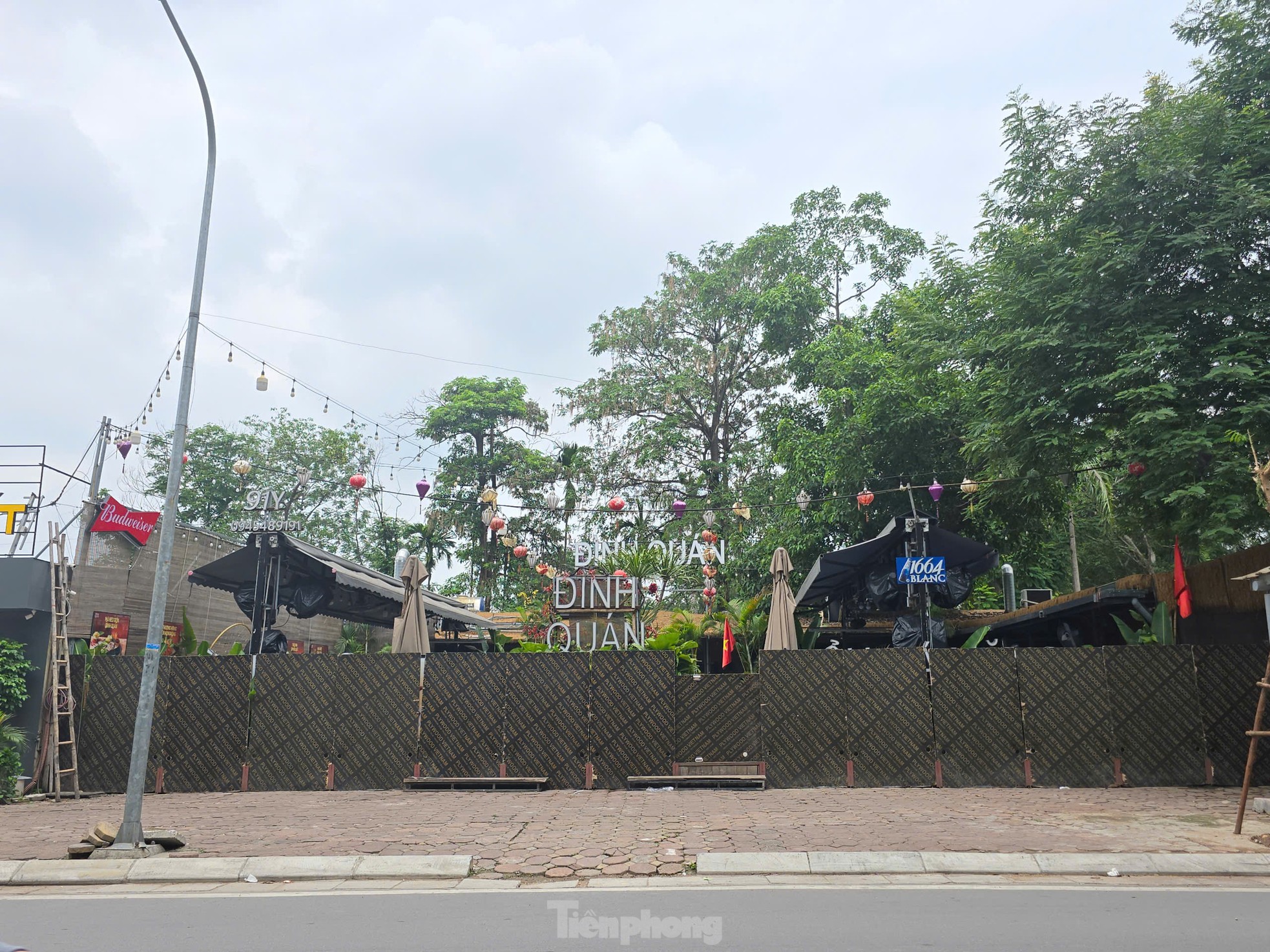 Cận cảnh 3.800m2 đất nông nghiệp sắp bị thu hồi để mở rộng công viên Tuổi trẻ Thủ đô ảnh 10
