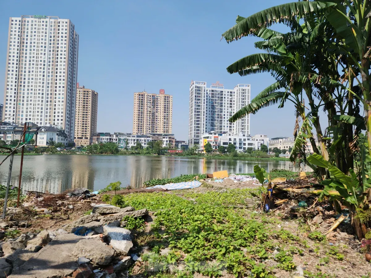 Các hồ lớn ở phường Định Công đang bị 'biến dạng' ảnh 12