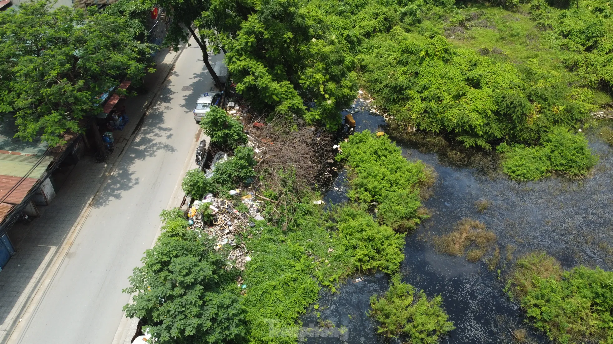 Các hồ lớn ở phường Định Công đang bị 'biến dạng' ảnh 6