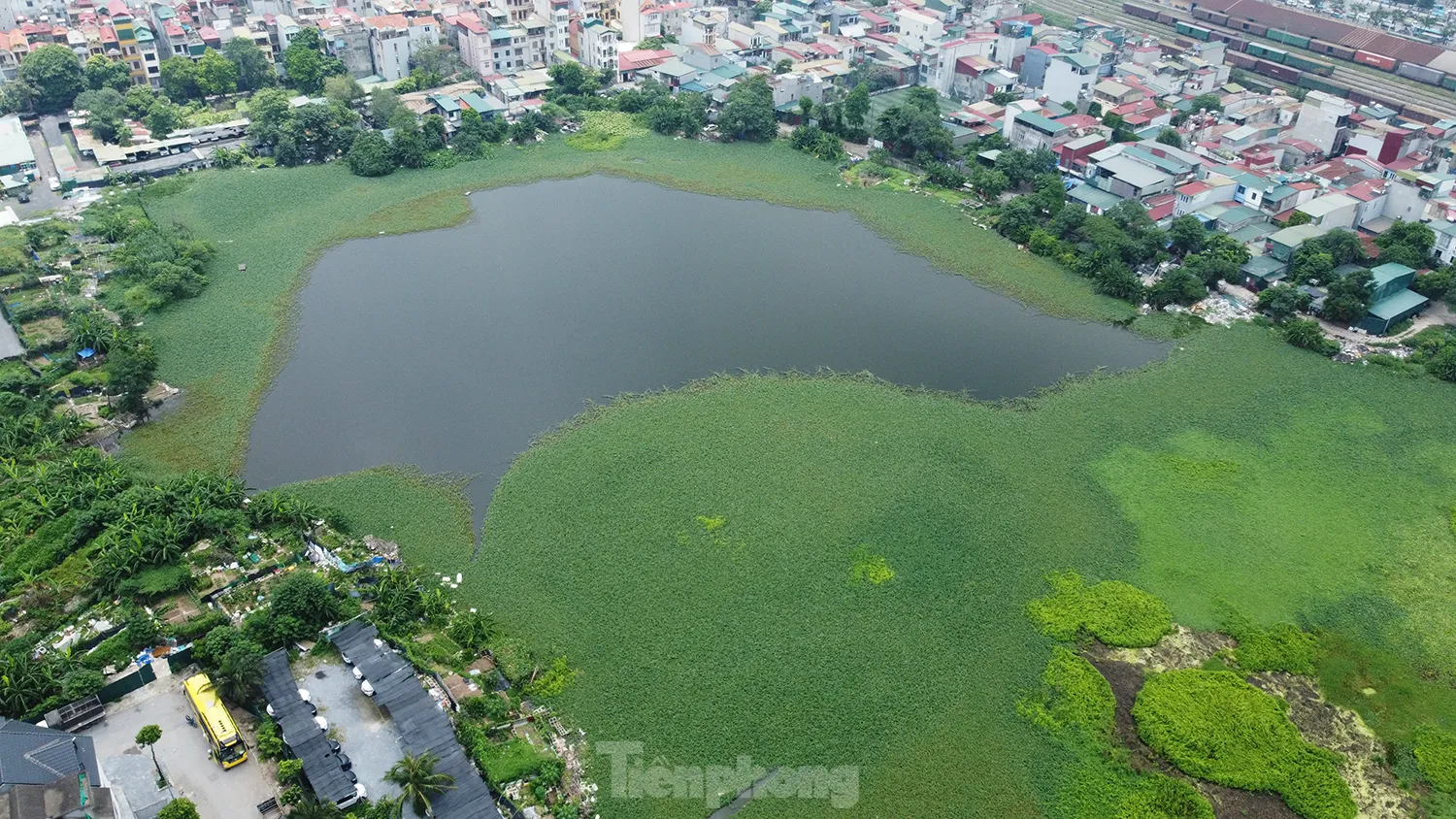 Các hồ lớn ở phường Định Công đang bị 'biến dạng' ảnh 7