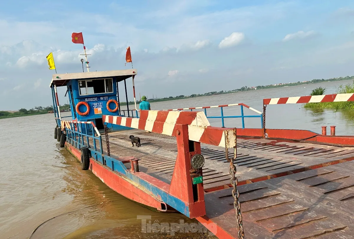 Qua sông Hồng trên những chuyến đò thiếu phao, không phép ảnh 5