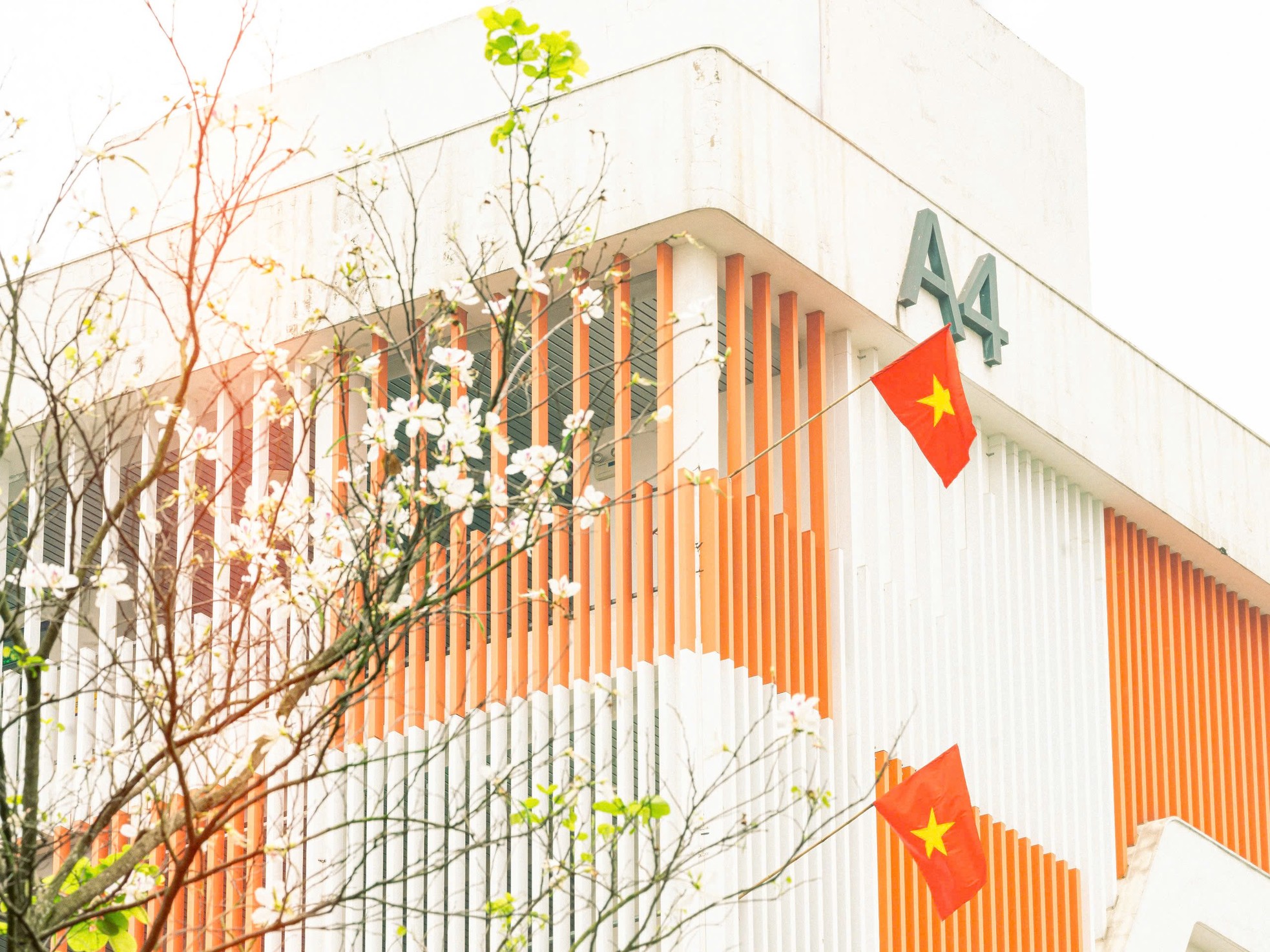 Ngàn lá cờ, triệu trái tim: Đại học Phenikaa rực rỡ sắc đỏ chào mừng 50 năm Giải phóng miền Nam, thống nhất đất nước ảnh 12