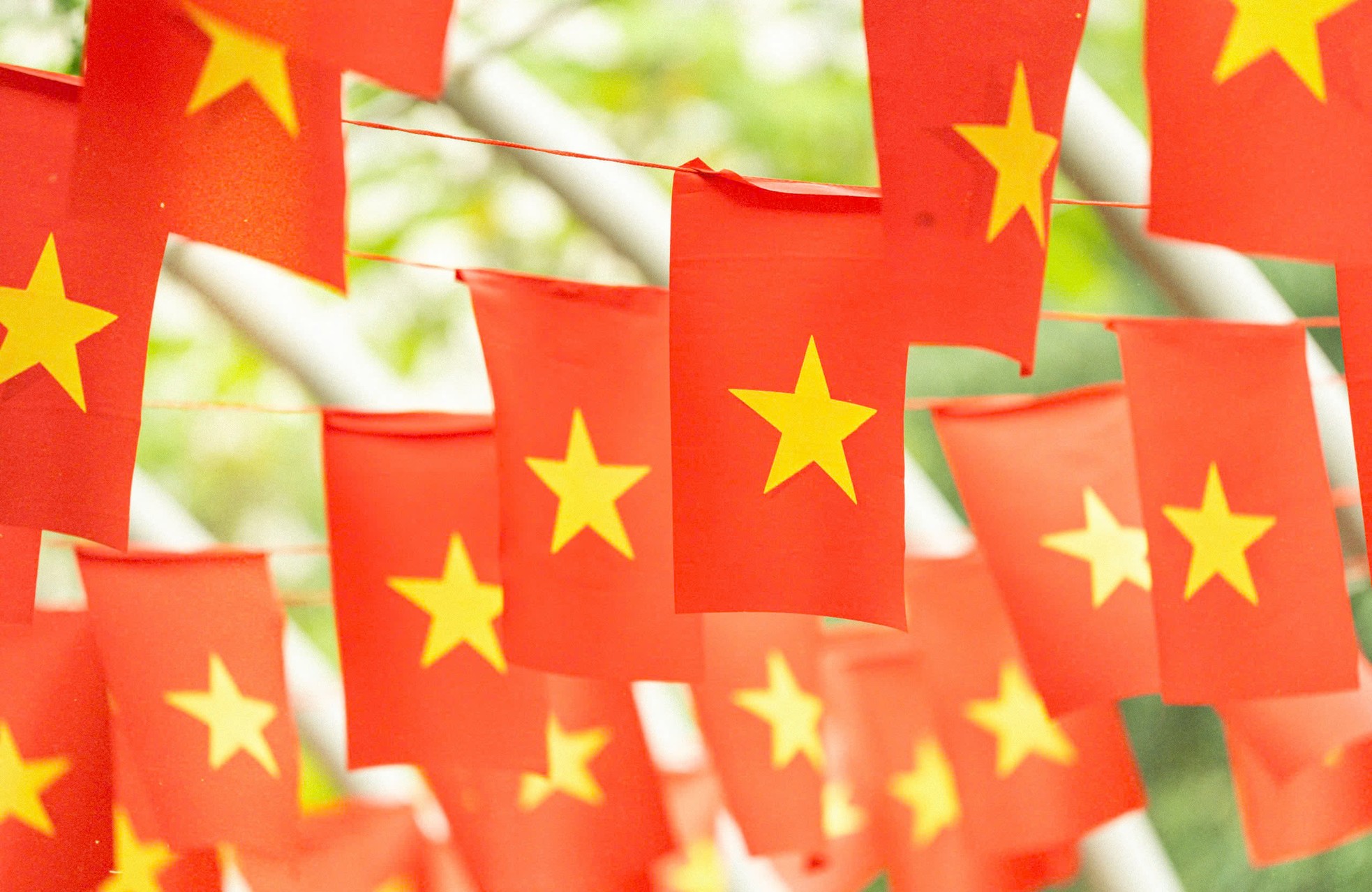 Ngàn lá cờ, triệu trái tim: Đại học Phenikaa rực rỡ sắc đỏ chào mừng 50 năm Giải phóng miền Nam, thống nhất đất nước ảnh 7