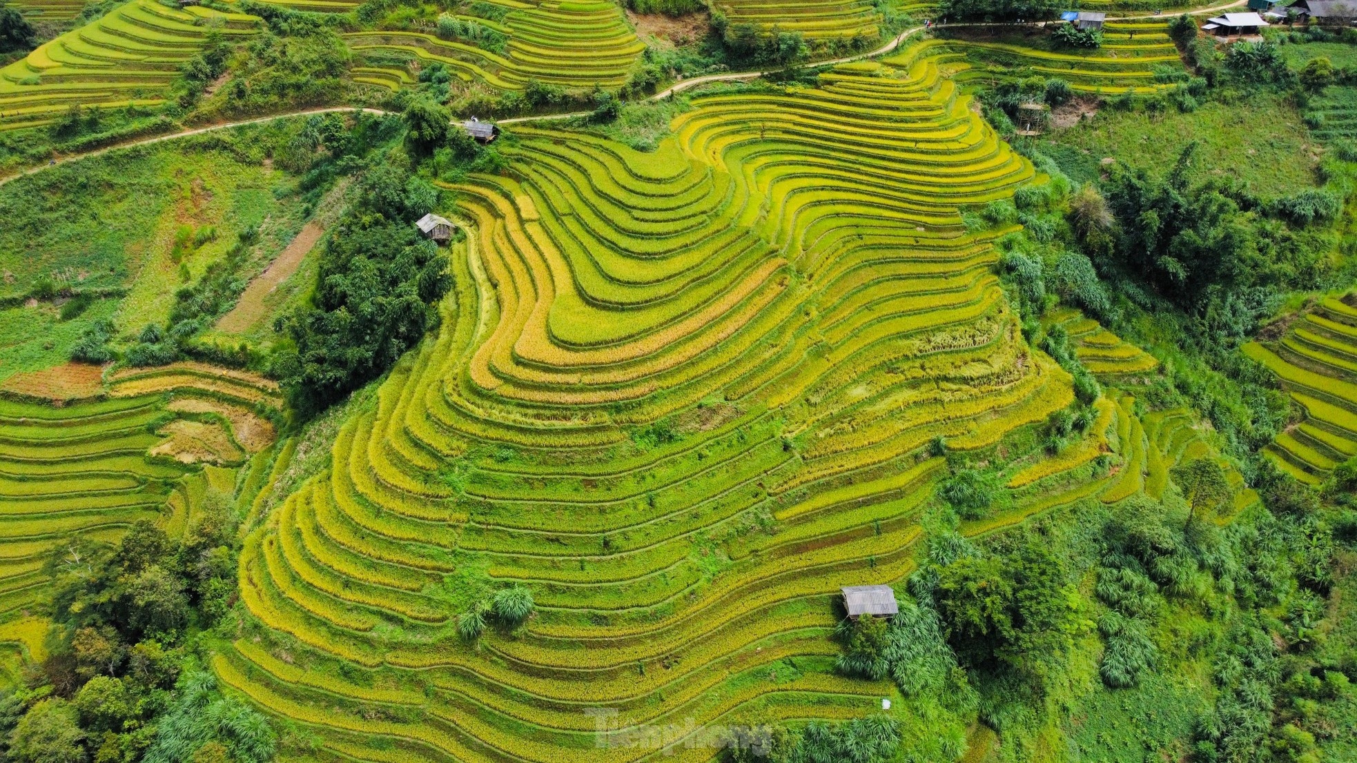 Mê mẩn ngắm tuyệt tác của núi rừng Tây Bắc ảnh 10