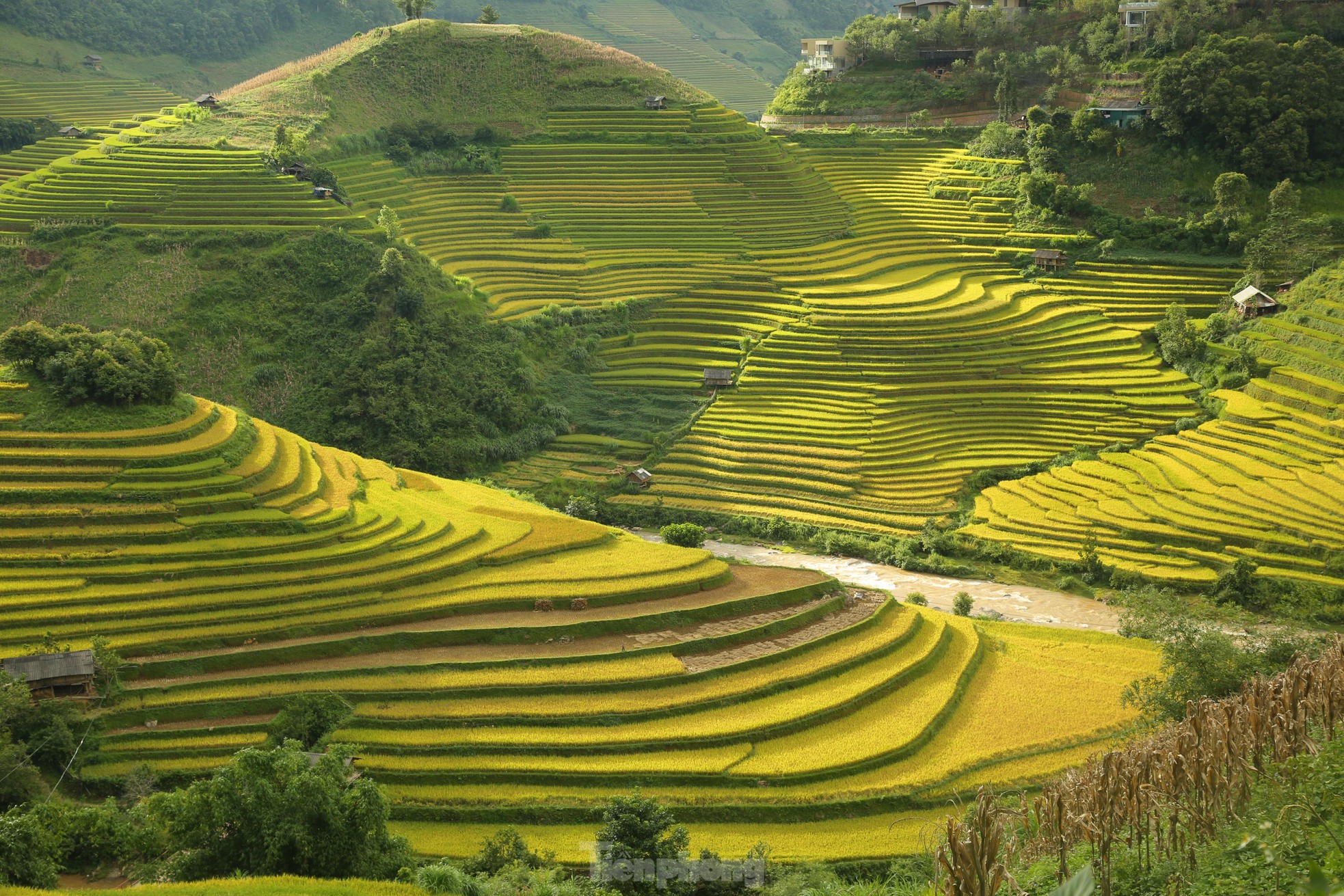 Mê mẩn ngắm tuyệt tác của núi rừng Tây Bắc ảnh 4