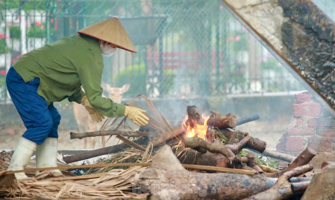 Vườn thú Hà Nội đốt lửa, bật lò sưởi giữ ấm cho thú nuôi ảnh 3