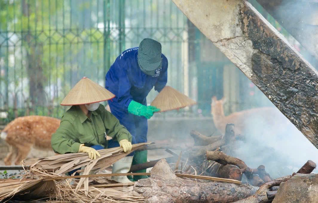 Vườn thú Hà Nội đốt lửa, bật lò sưởi giữ ấm cho thú nuôi ảnh 5